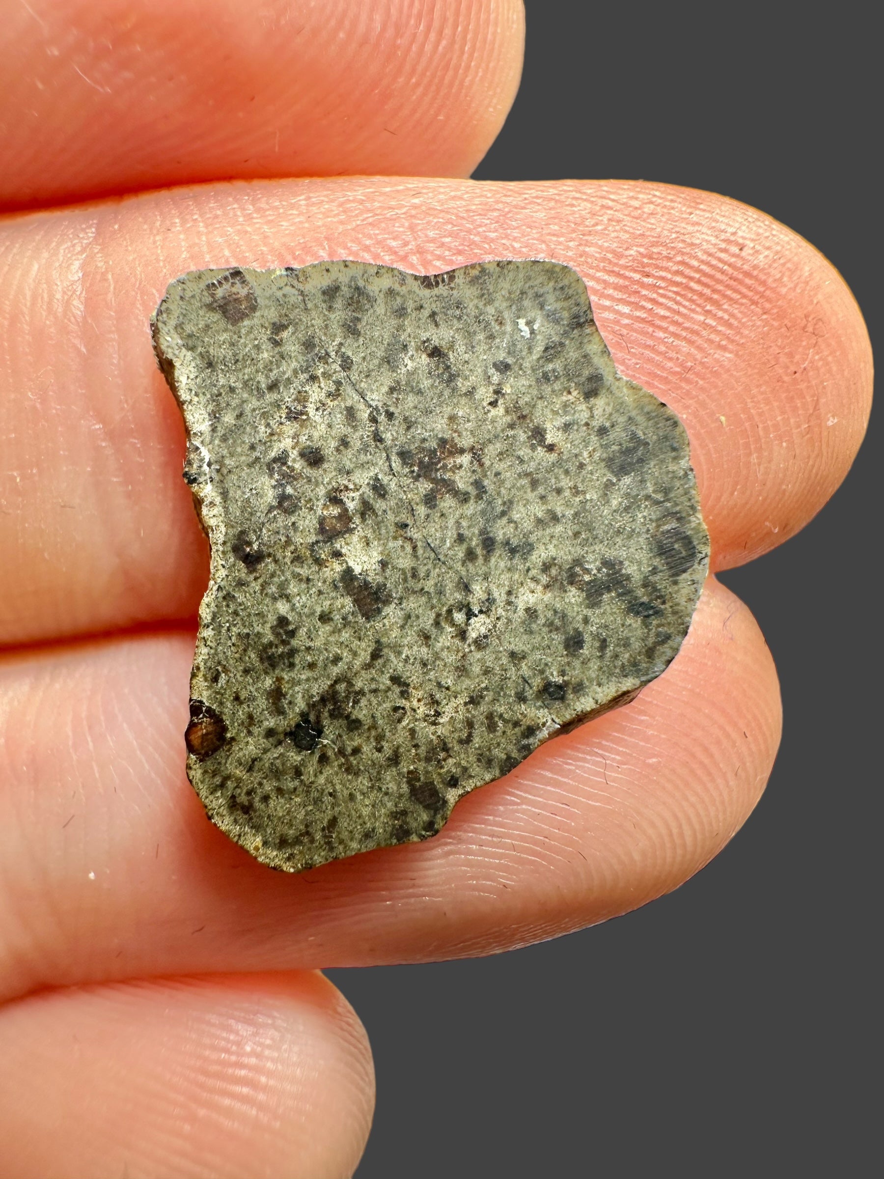Meteorite Amgala 001 – 0,62g – Western Sahara - MEAM25