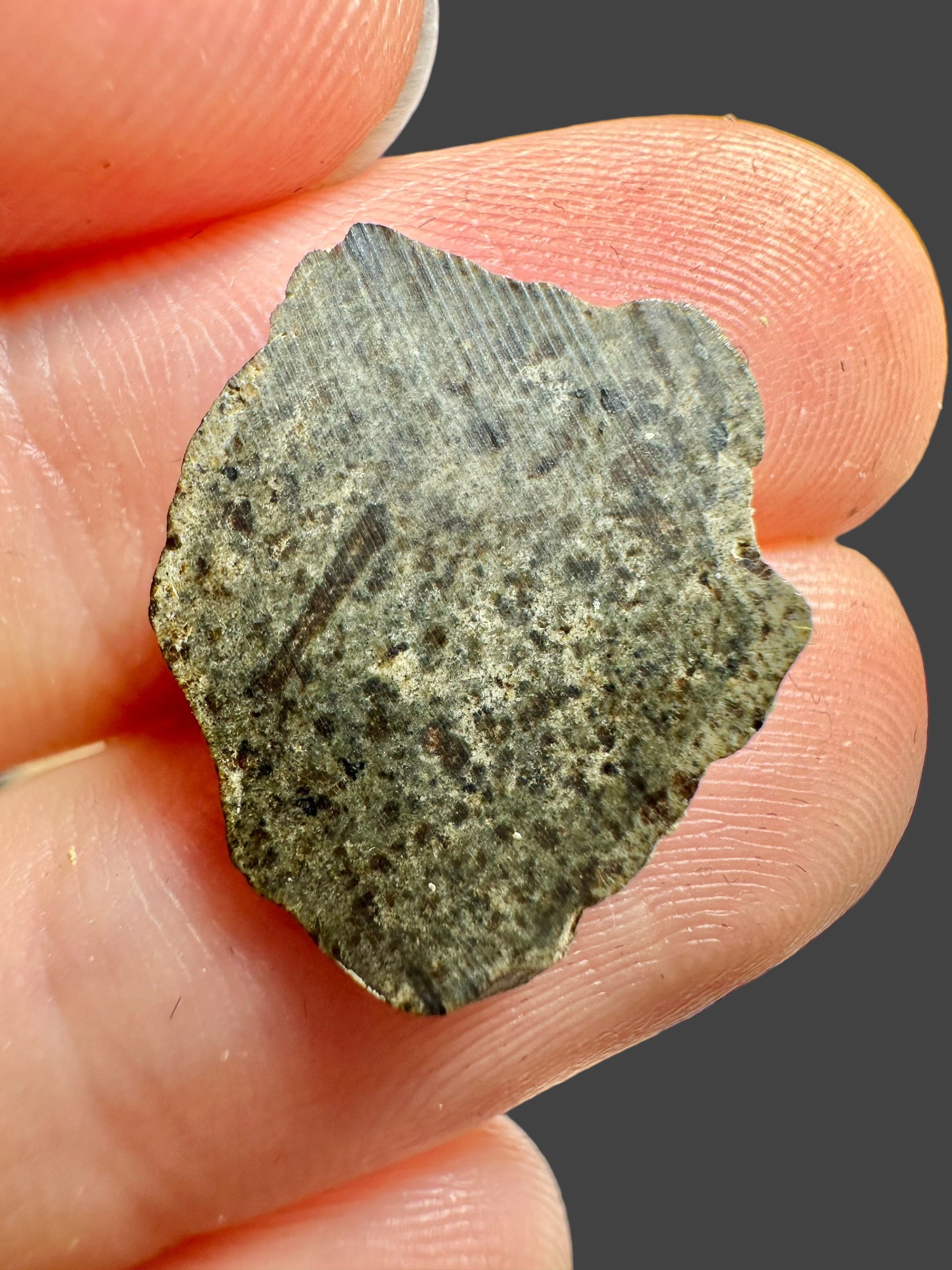 Meteorite Amgala 001 – 0,53g – Western Sahara - MEAM26
