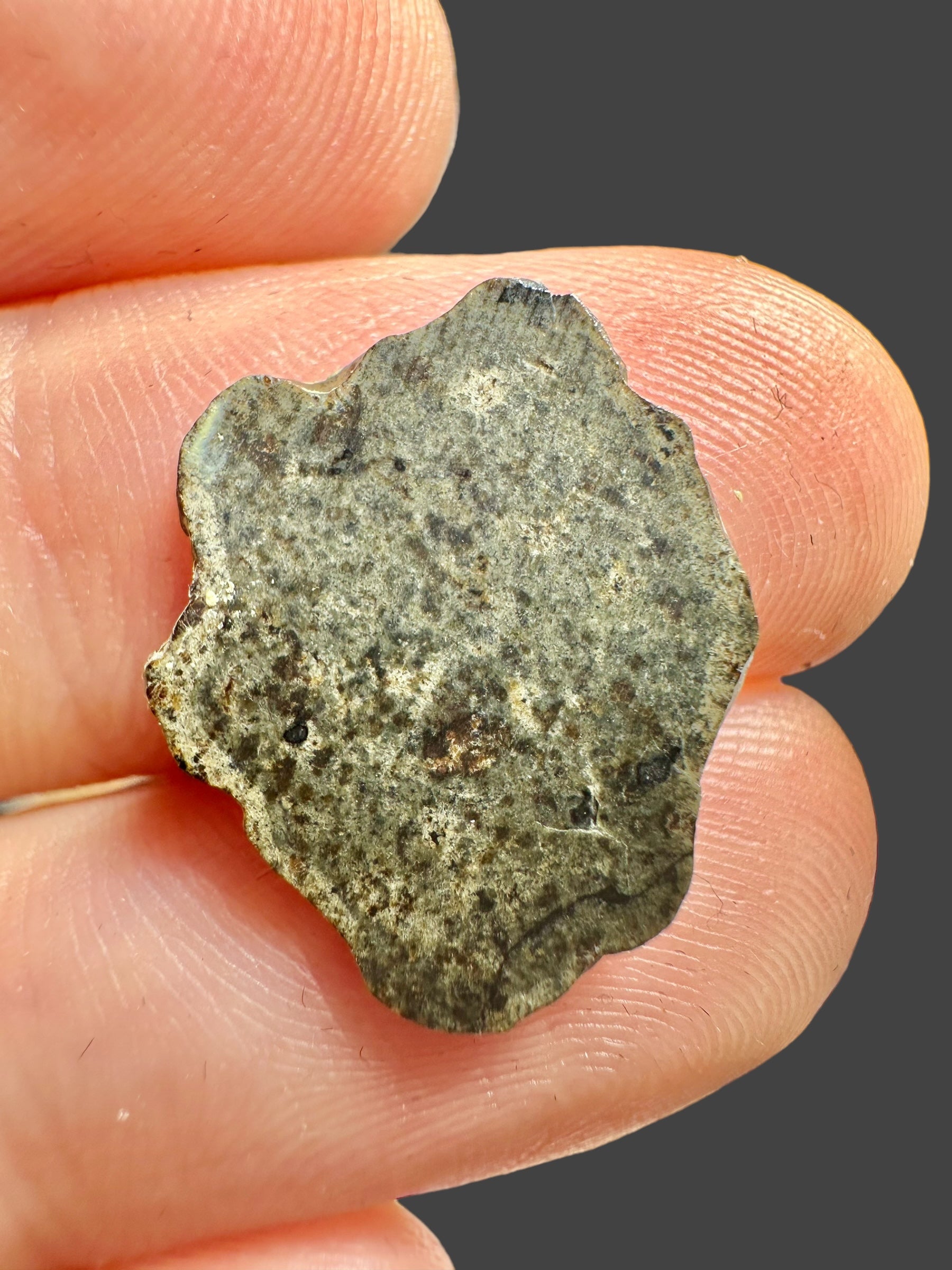 Meteorite Amgala 001 – 0,53g – Western Sahara - MEAM26