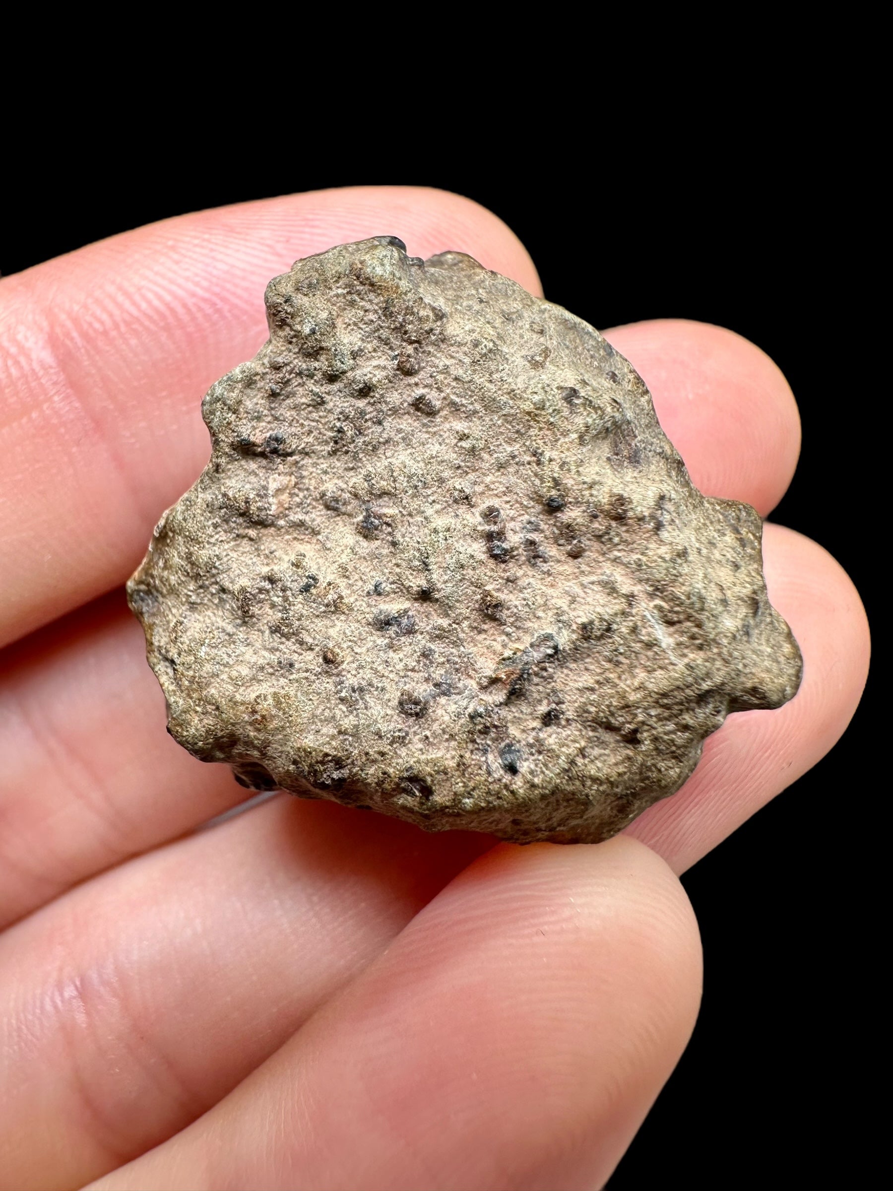Meteorite Amgala 001 – 12,4g / raw – Western Sahara - MEAM27