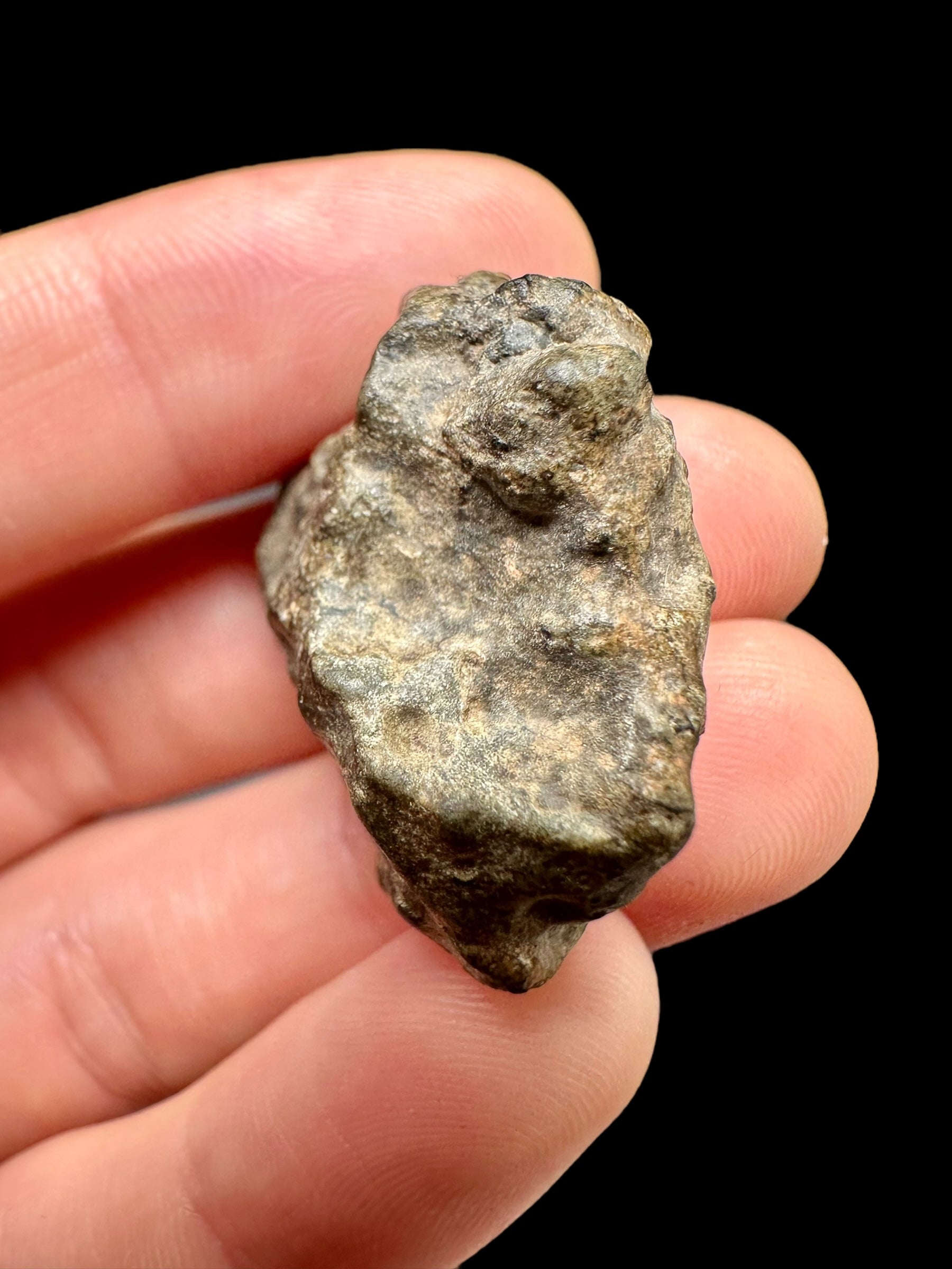Meteorite Amgala 001 – 12,4g / raw – Western Sahara - MEAM27