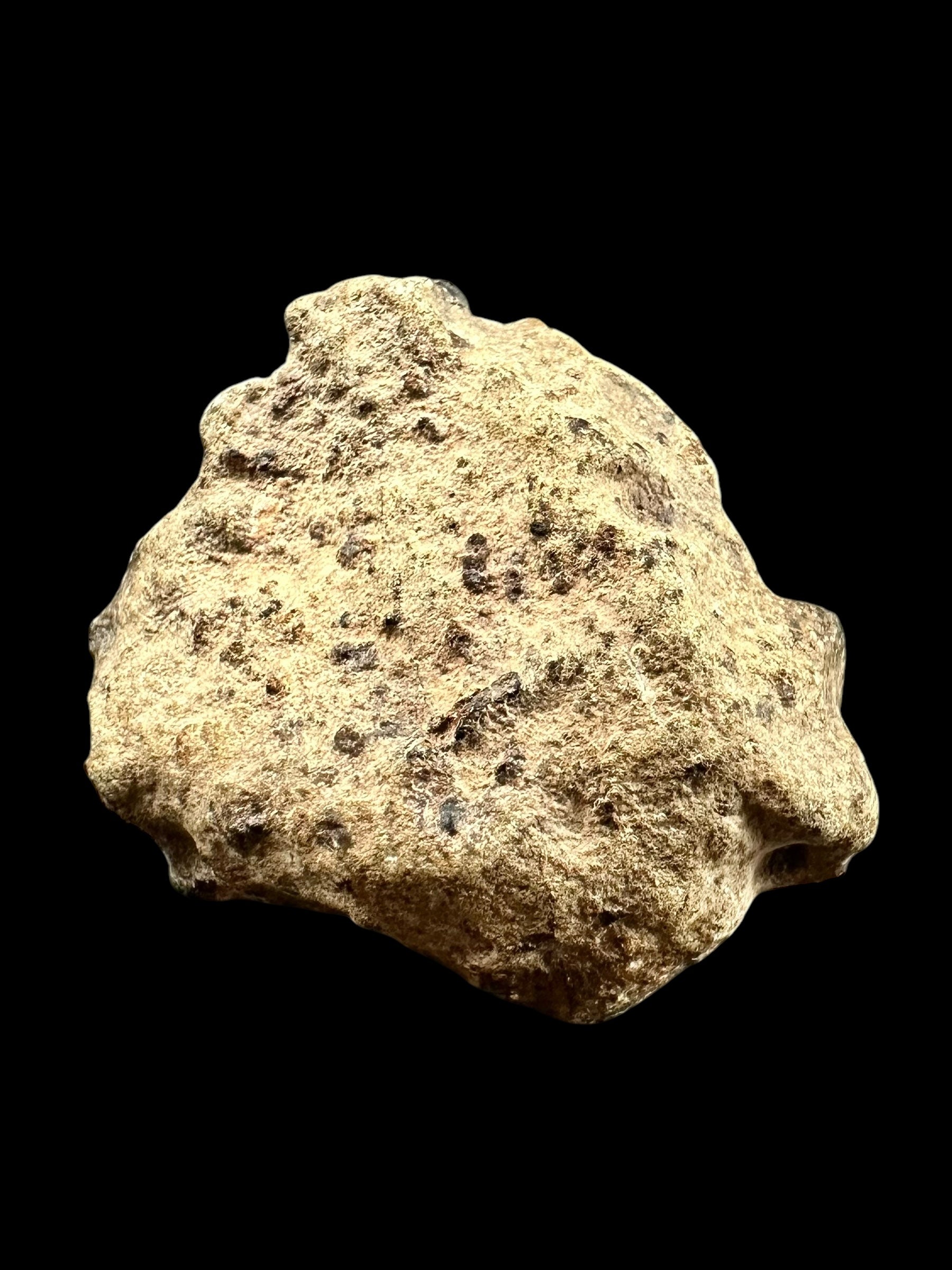 Meteorite Amgala 001 – 12,4g / raw – Western Sahara - MEAM27