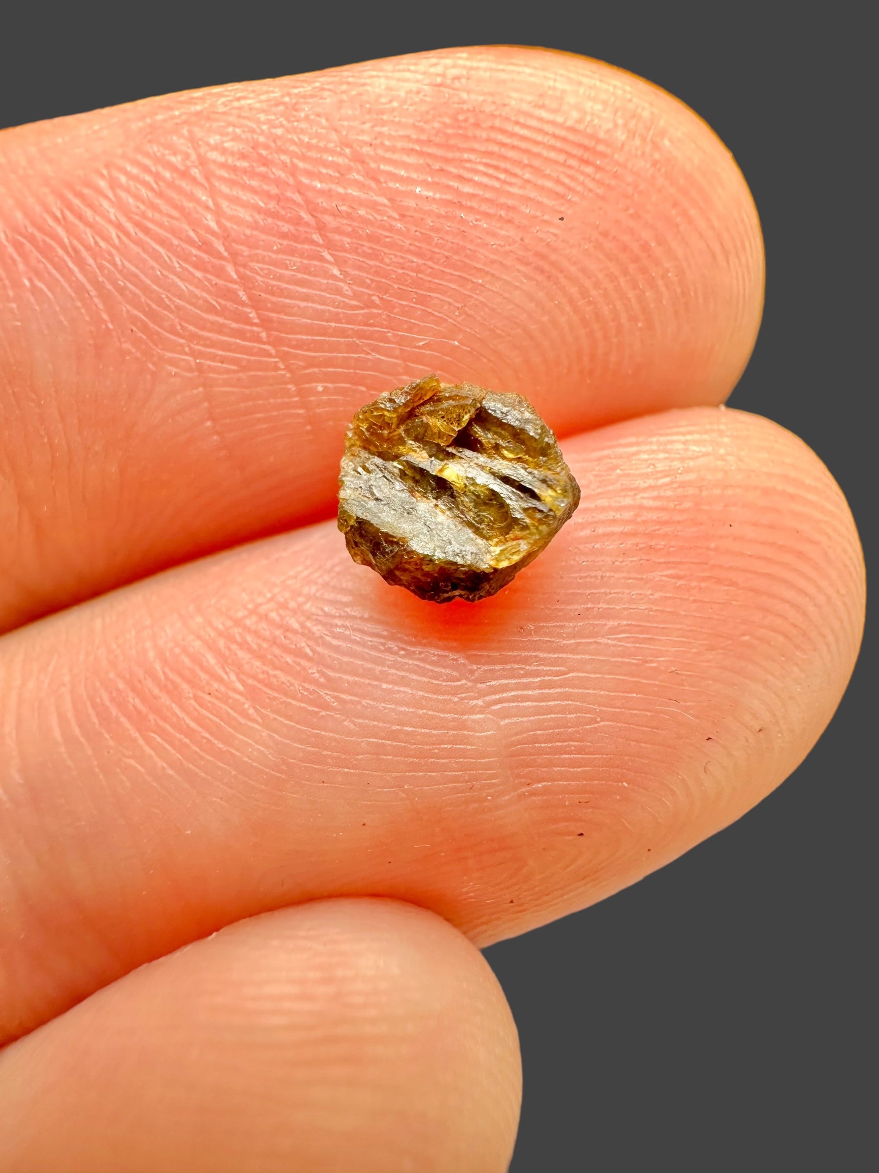 Meteorite NWA 7831 – 0,15g – Western Sahara - MENWA13