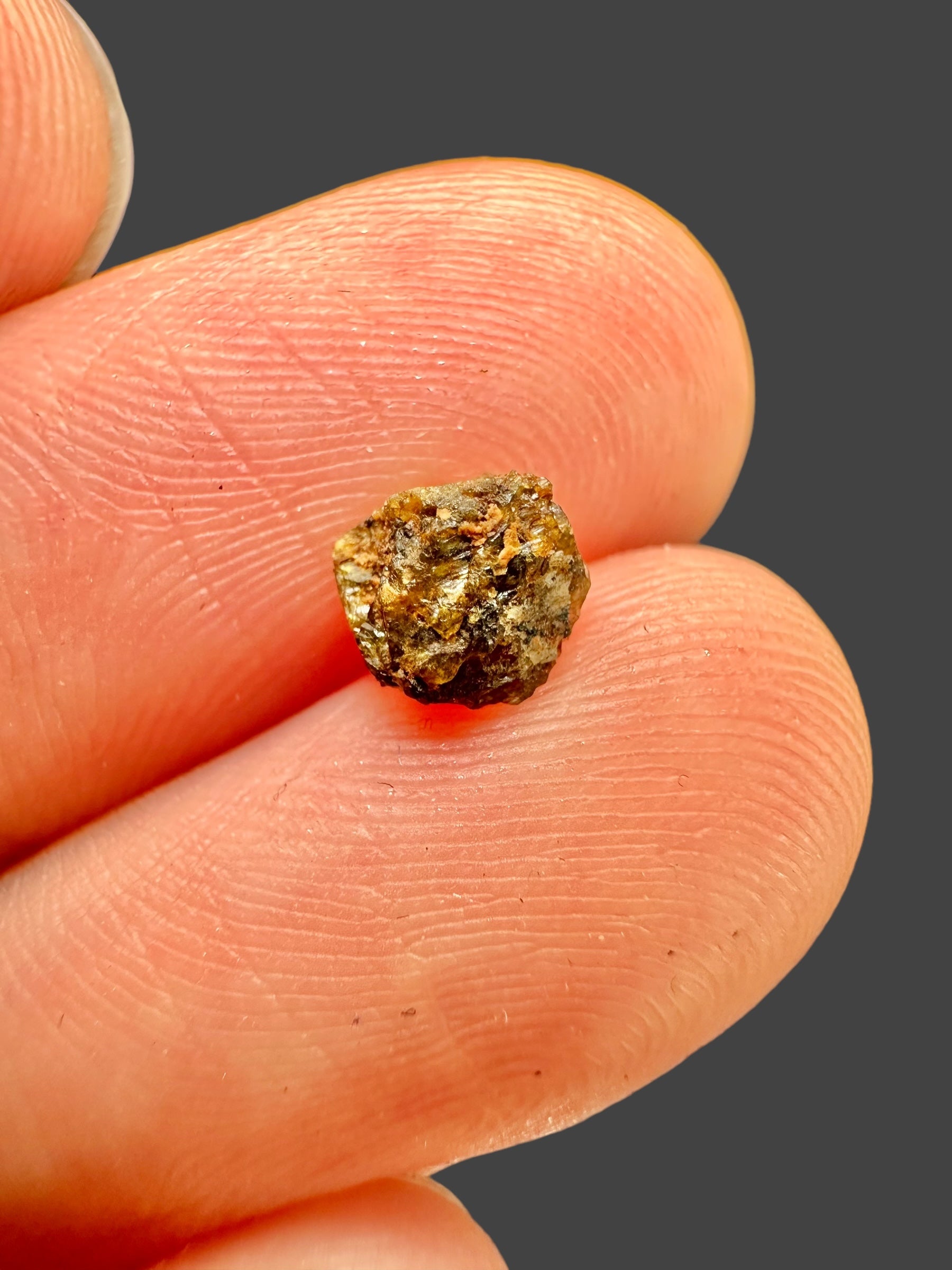 Meteorite NWA 7831 – 0,15g – Western Sahara - MENWA13
