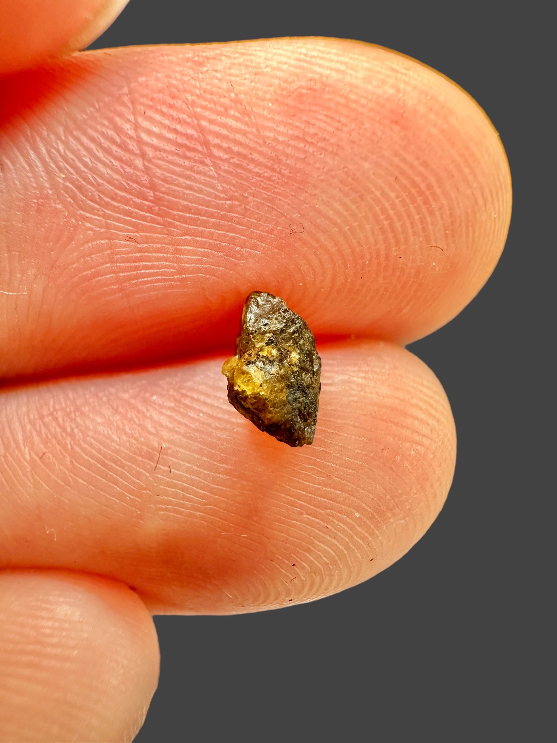 Meteorite NWA 7831 – 0,11g – Western Sahara - MENWA15