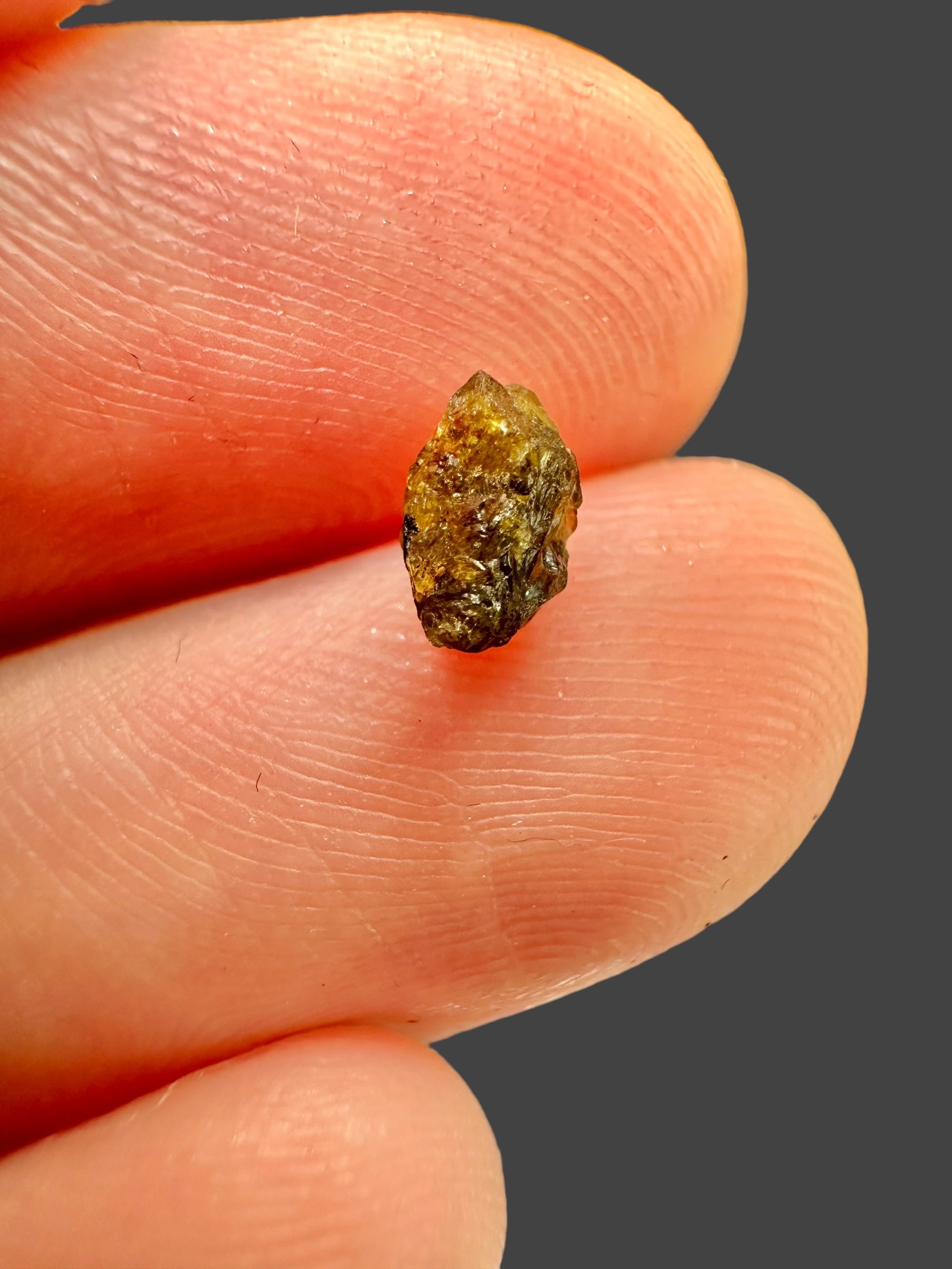 Meteorite NWA 7831 – 0,11g – Western Sahara - MENWA15