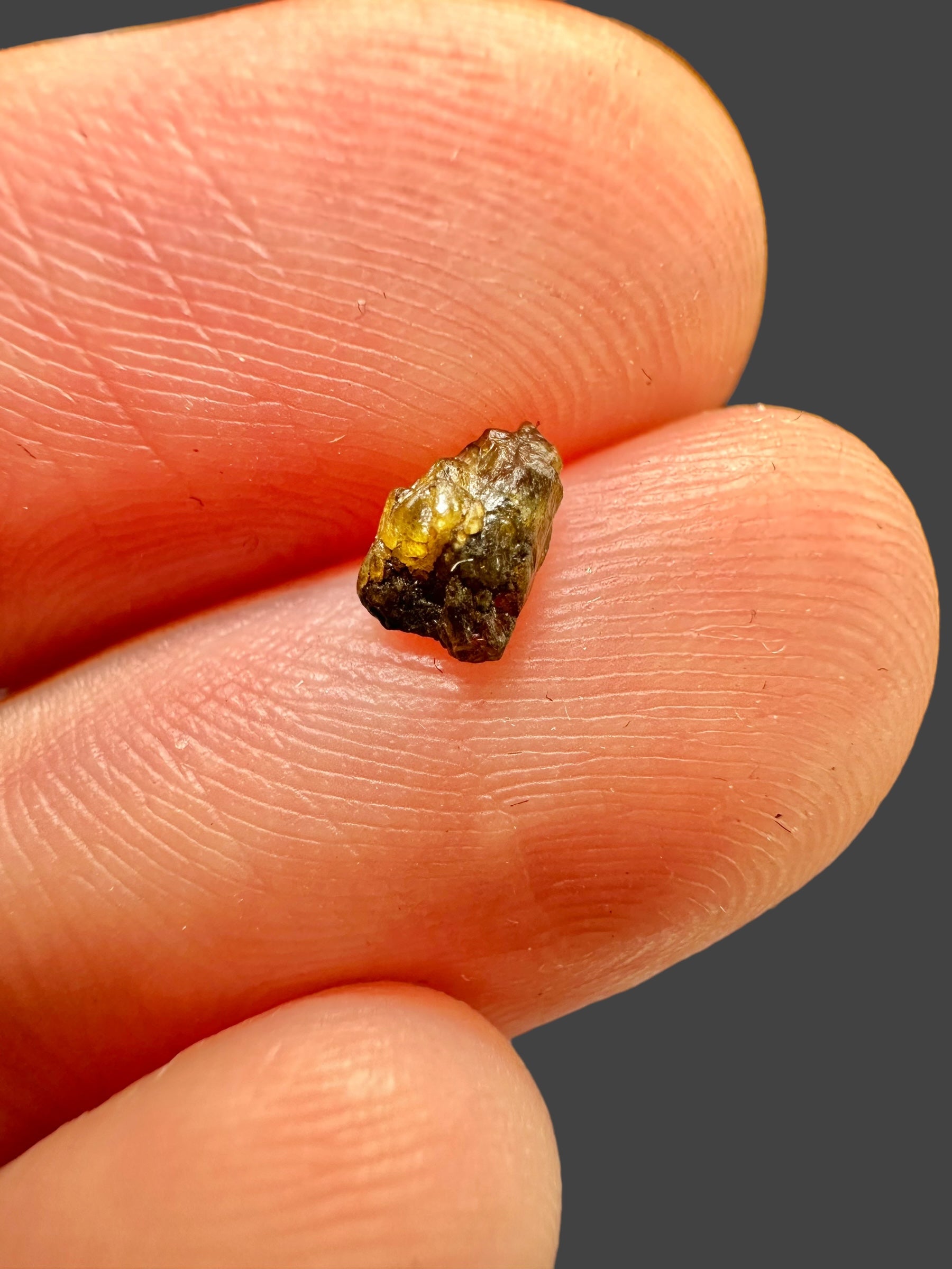 Meteorite NWA 7831 – 0,06g – Western Sahara - MENWA16