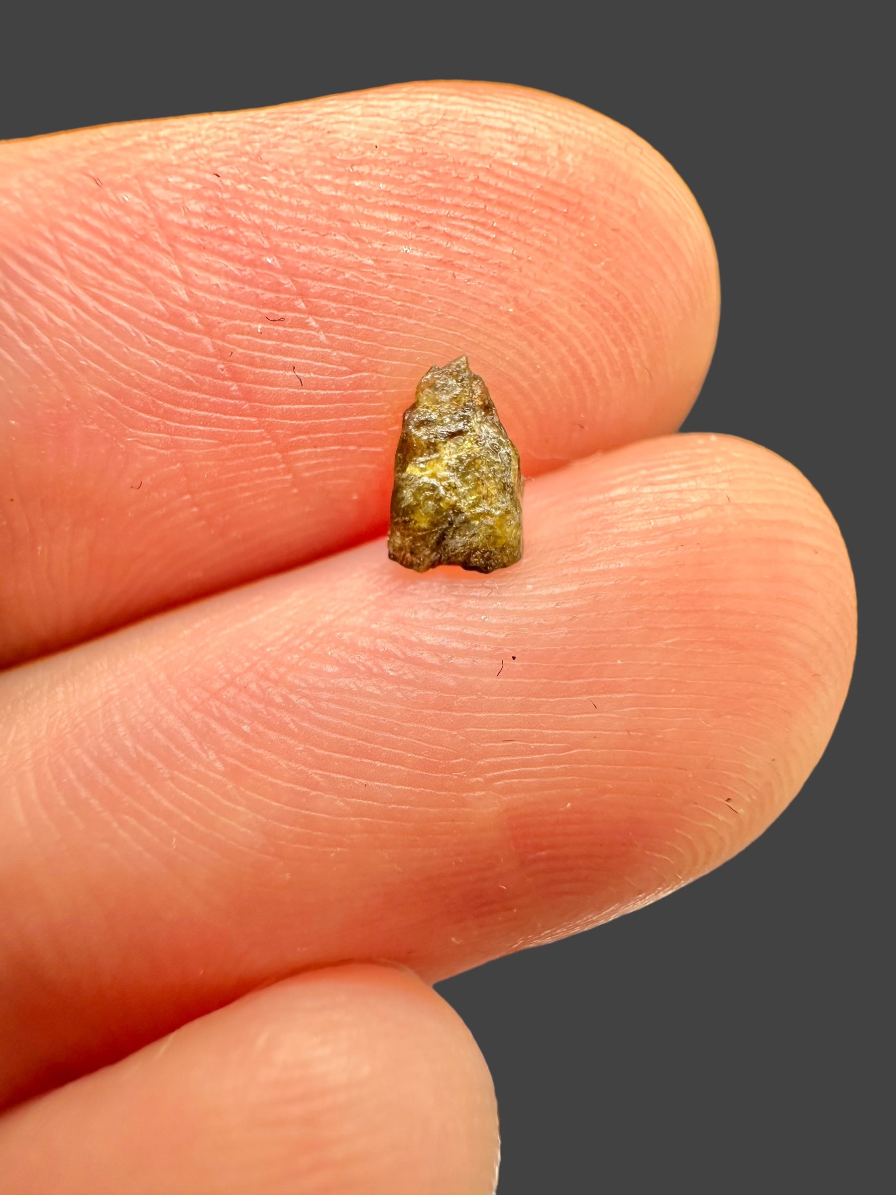 Meteorite NWA 7831 – 0,06g – Western Sahara - MENWA16