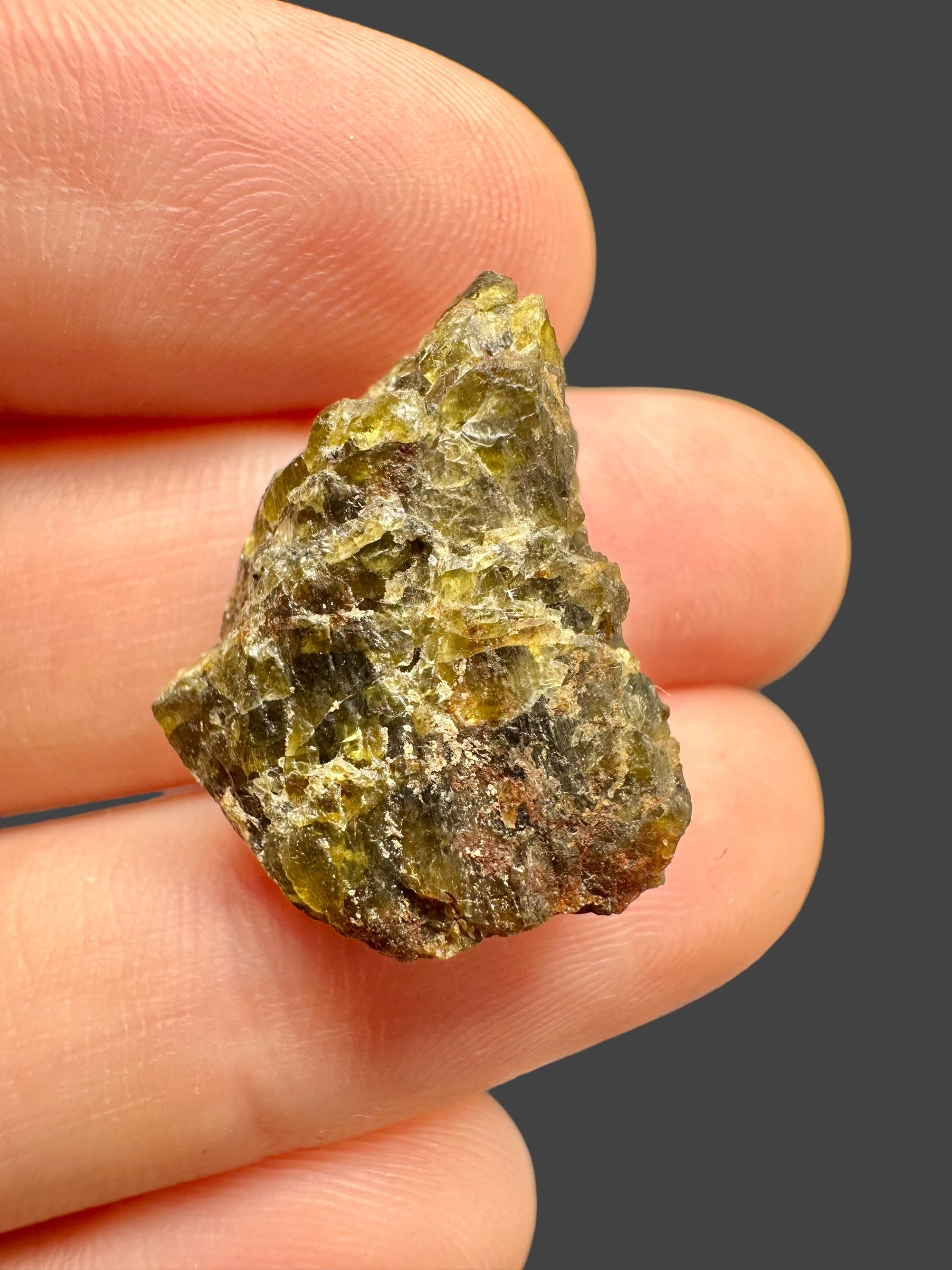 Meteorite NWA 7831 – 4,88g – Western Sahara - MENWA18