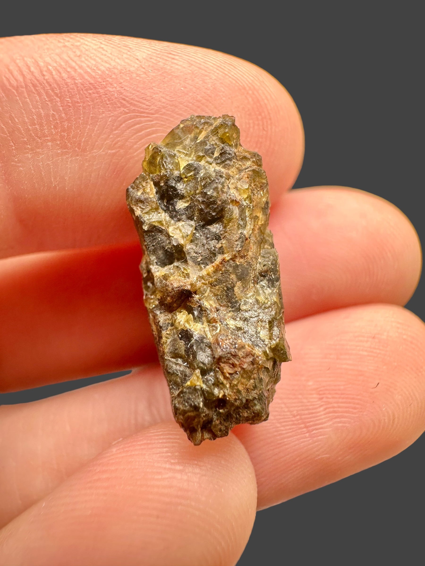 Meteorite NWA 7831 – 4,88g – Western Sahara - MENWA18
