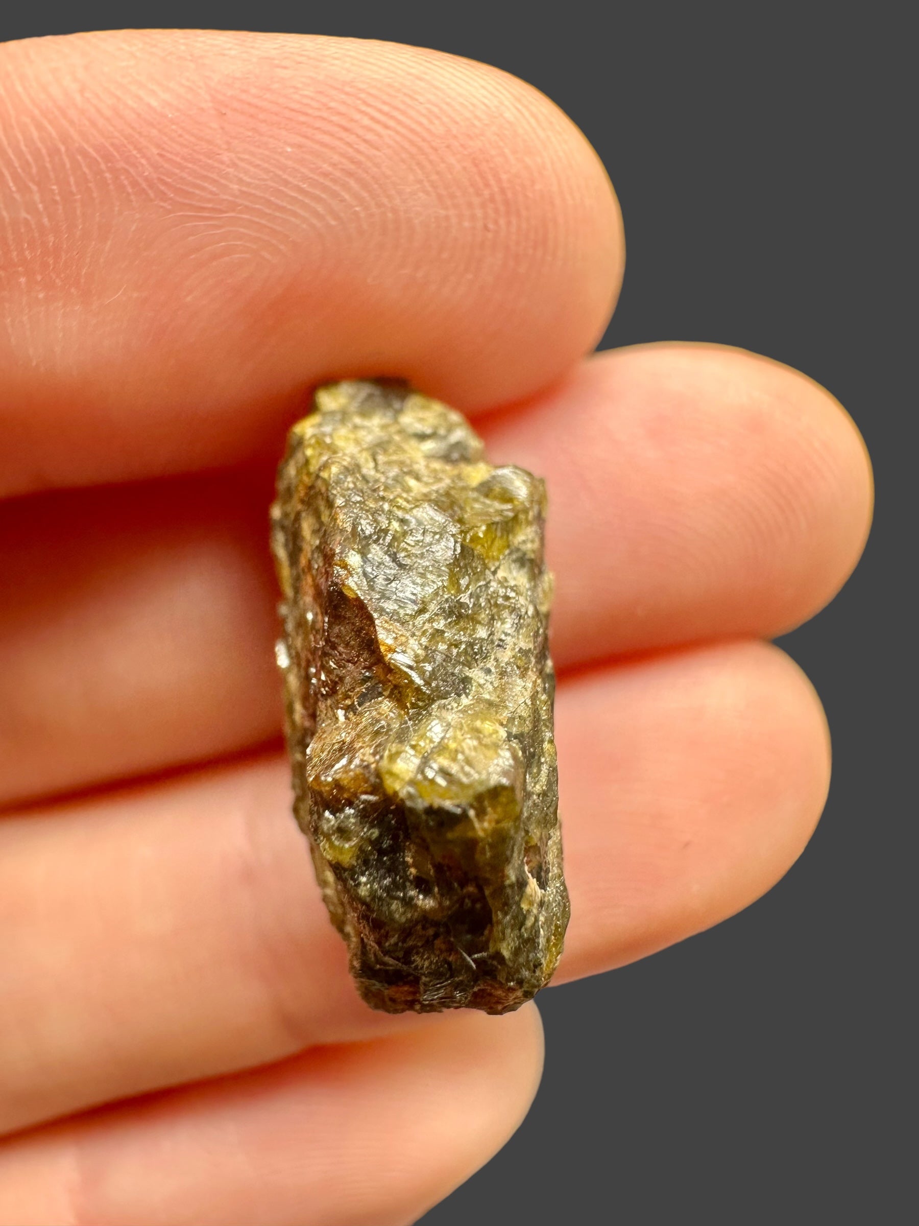 Meteorite NWA 7831 – 4,88g – Western Sahara - MENWA18