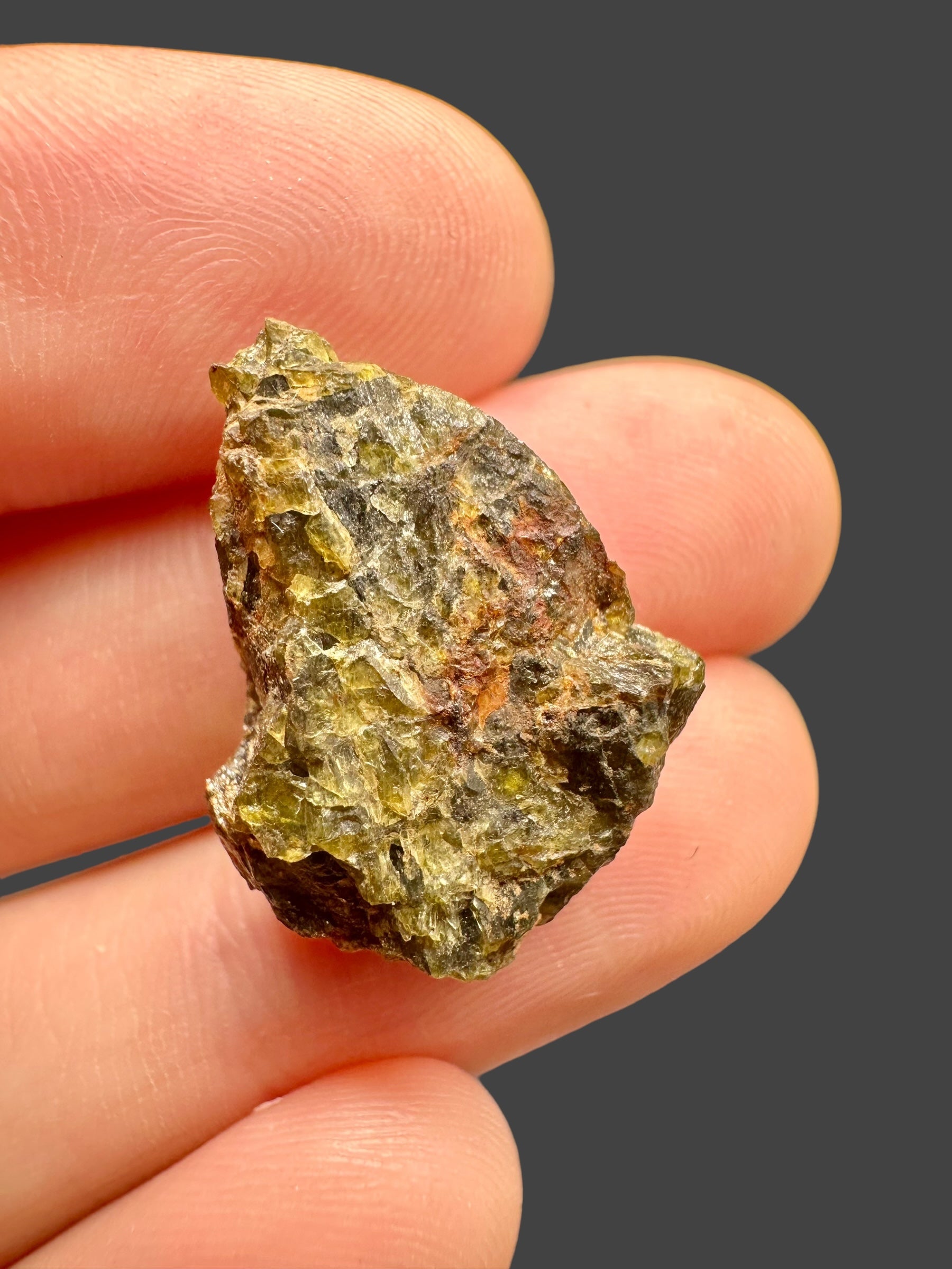 Meteorite NWA 7831 – 4,88g – Western Sahara