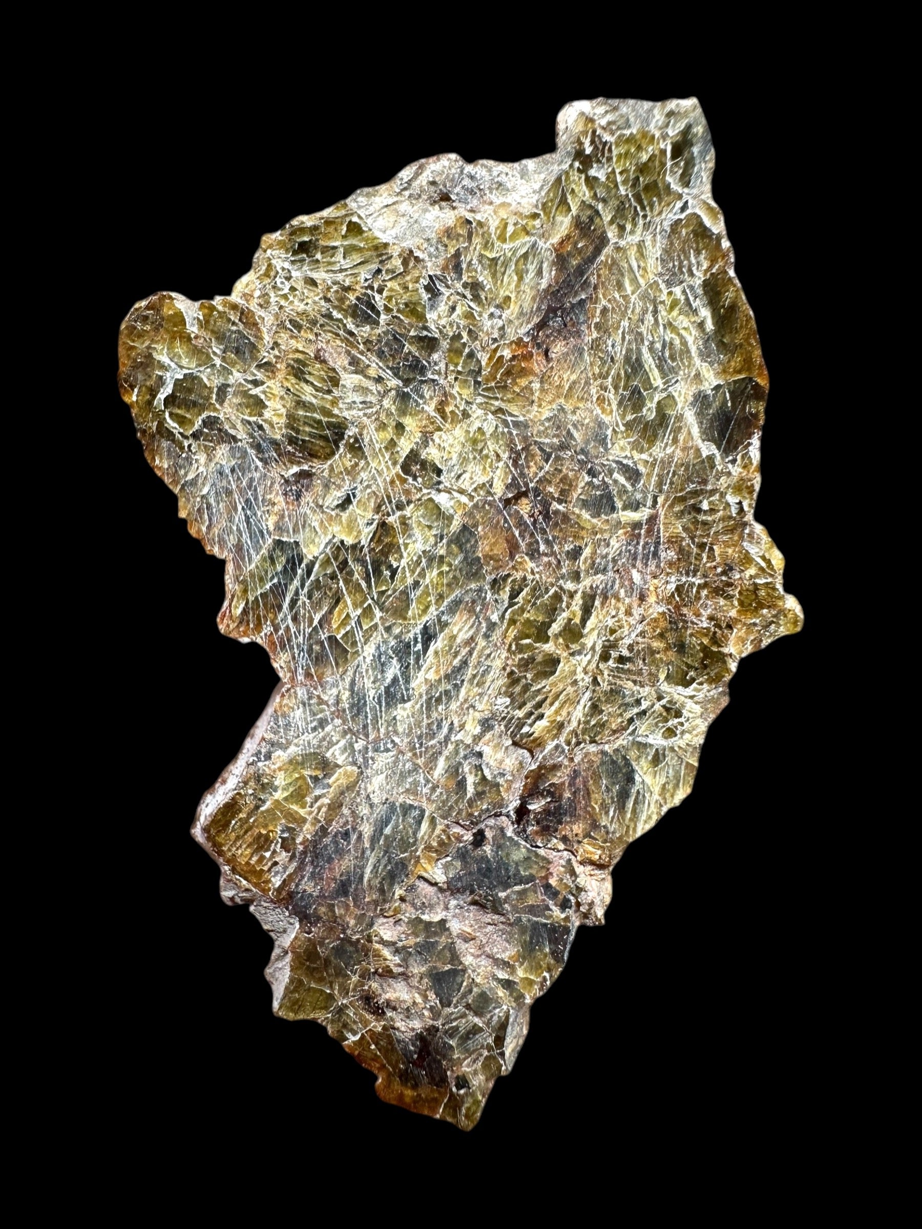 Meteorite NWA 7831 – 7g – Western Sahara