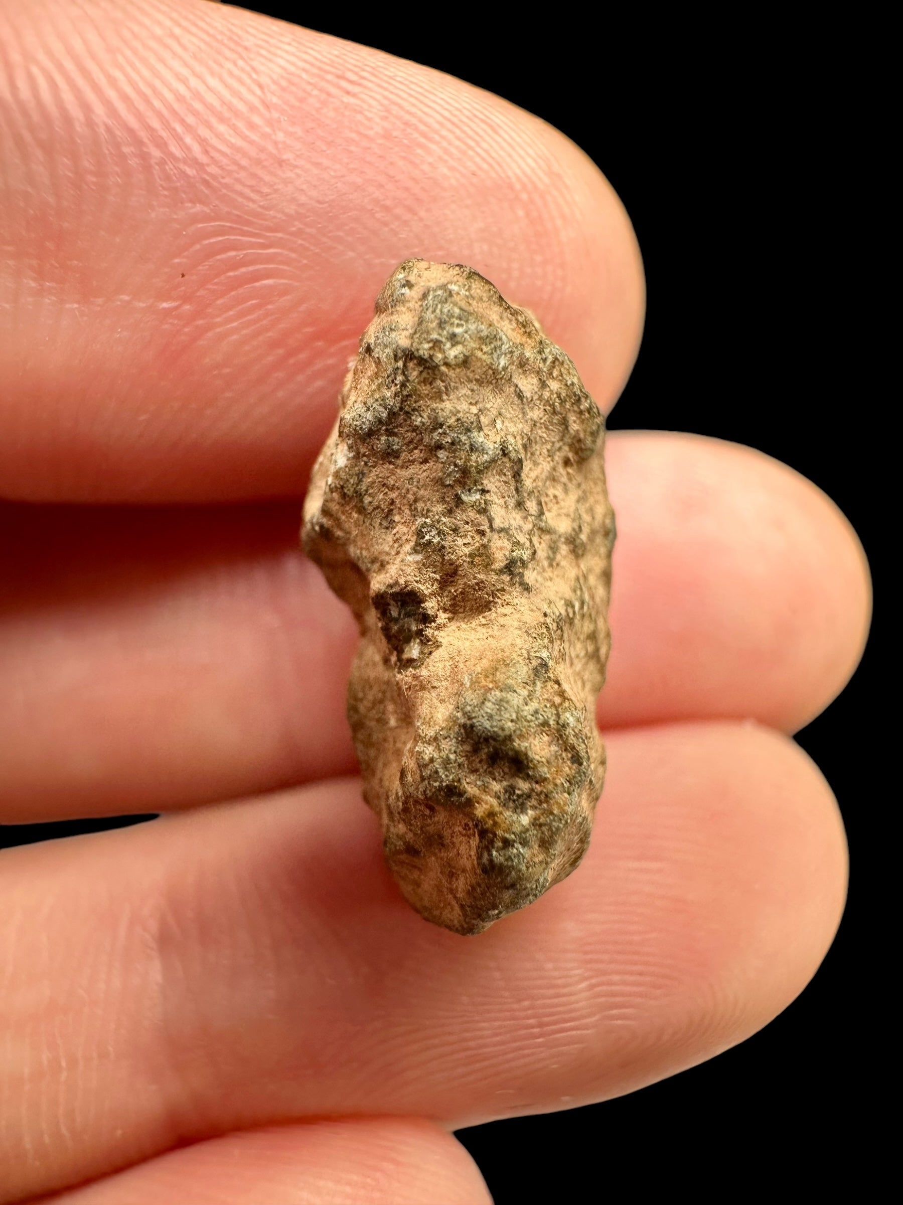 Meteorite Bechar 008, Howardite 2,88g – Algeria - MEBE08