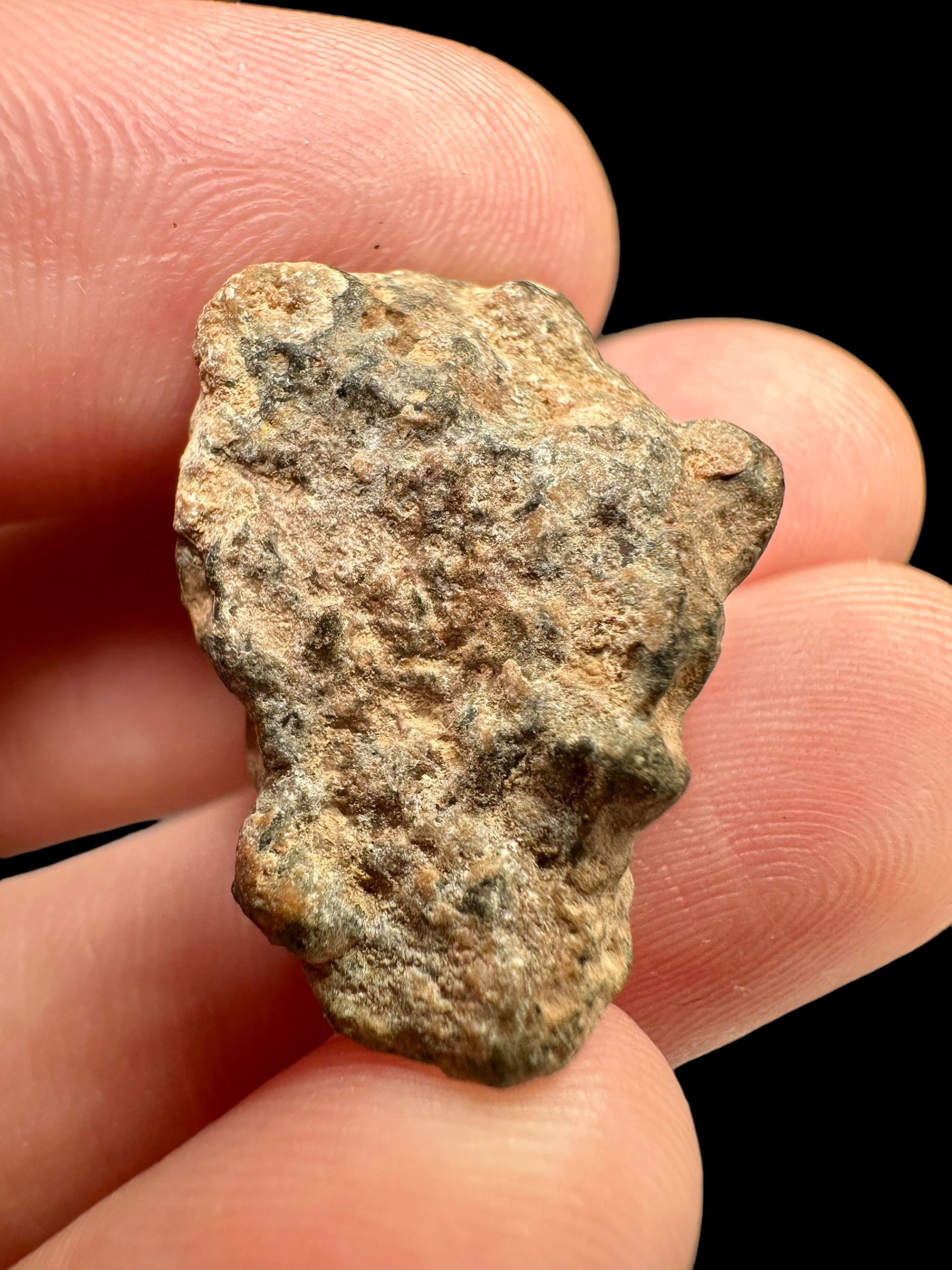 Meteorite Bechar 008, Howardite 4,9g – Algeria - MEBE09