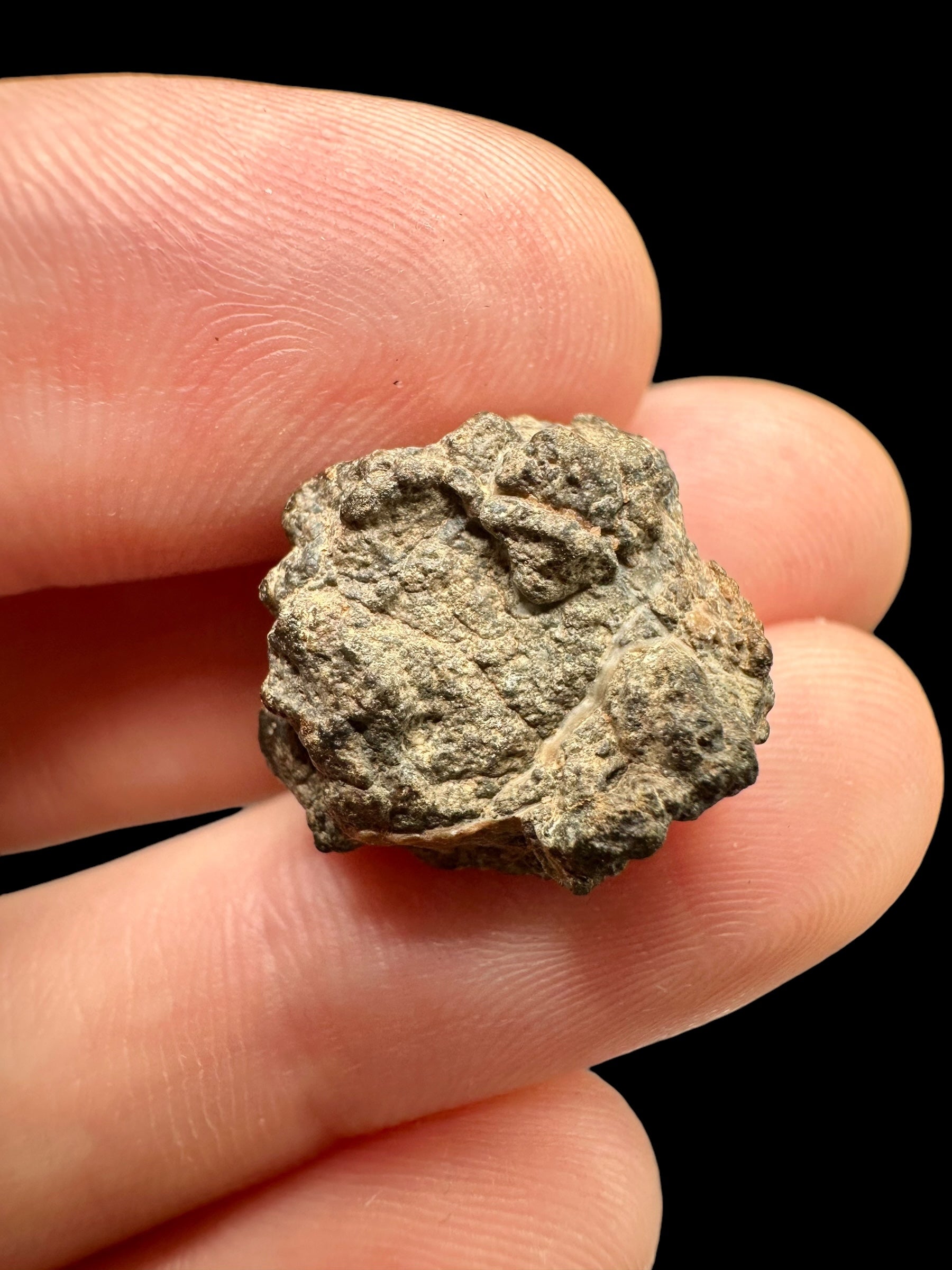 Meteorite Bechar 008, Howardite 3,6g – Algeria - MEBE11