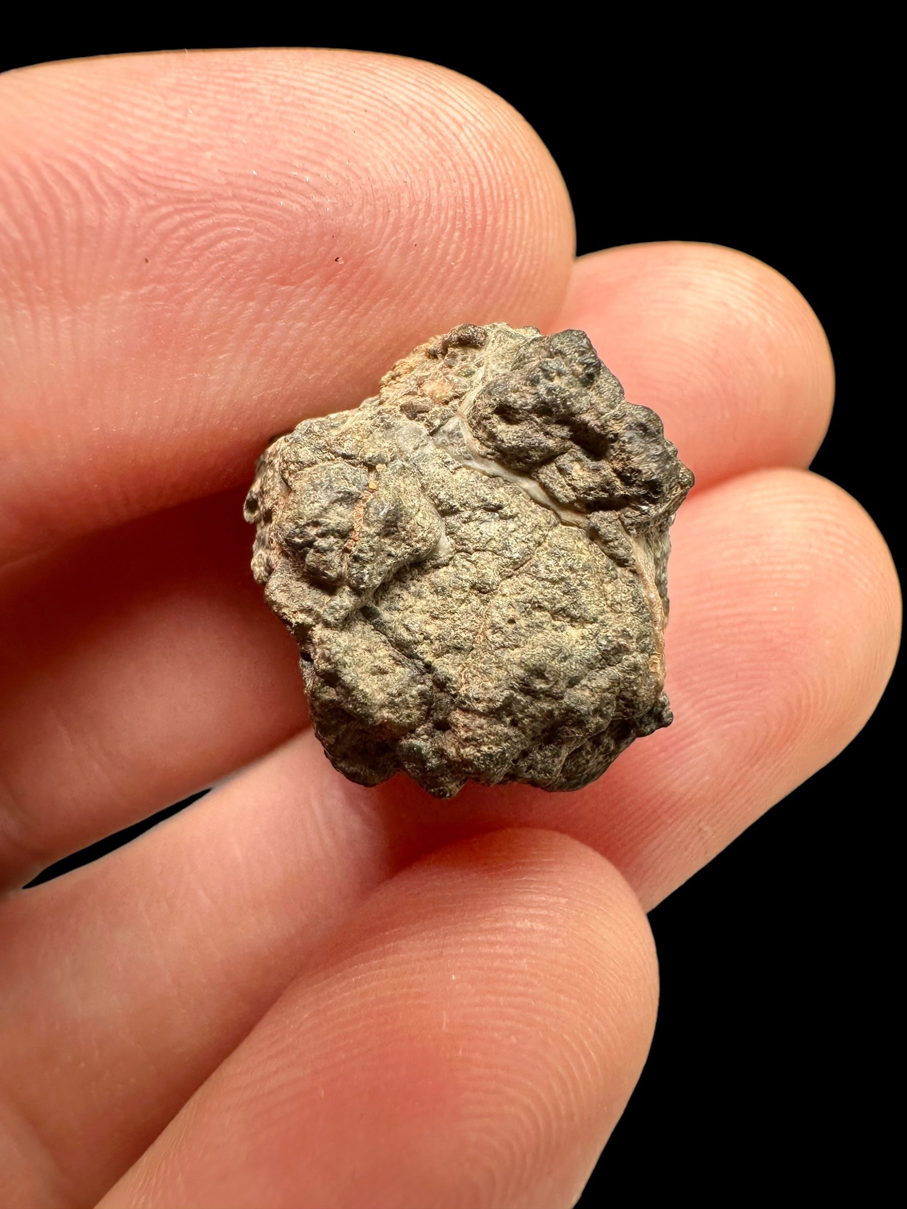 Meteorite Bechar 008, Howardite 3,6g – Algeria - MEBE11