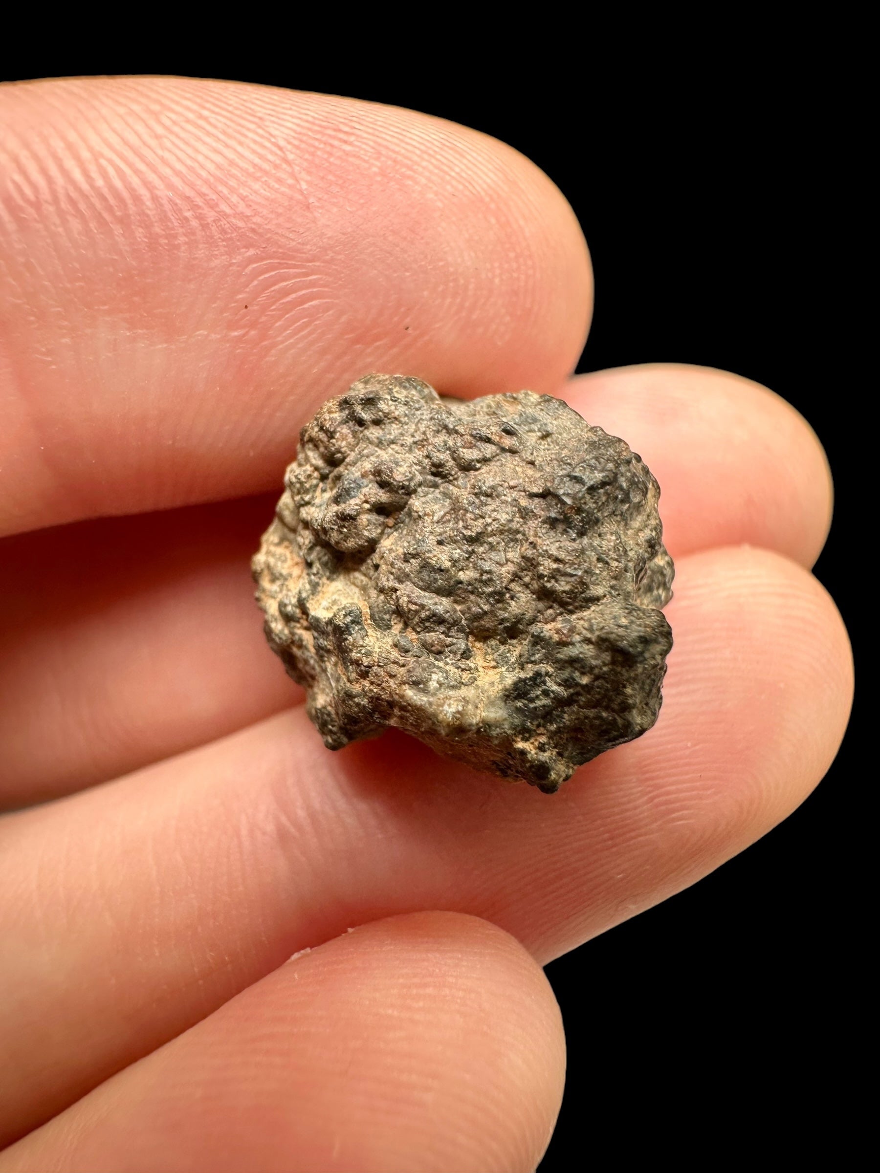 Meteorite Bechar 008, Howardite 3,6g – Algeria - MEBE11