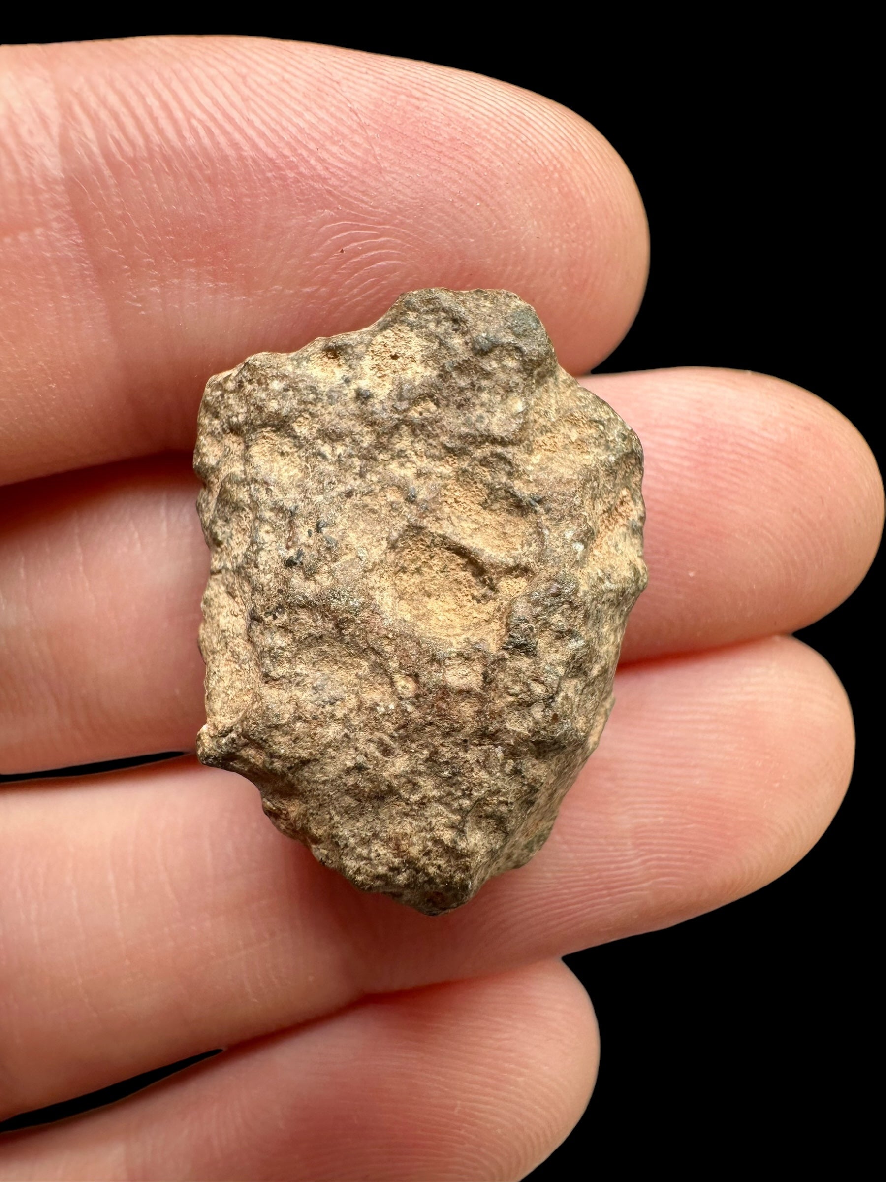 Meteorite Bechar 008, Howardite 4,43g – Algeria - MEBE12