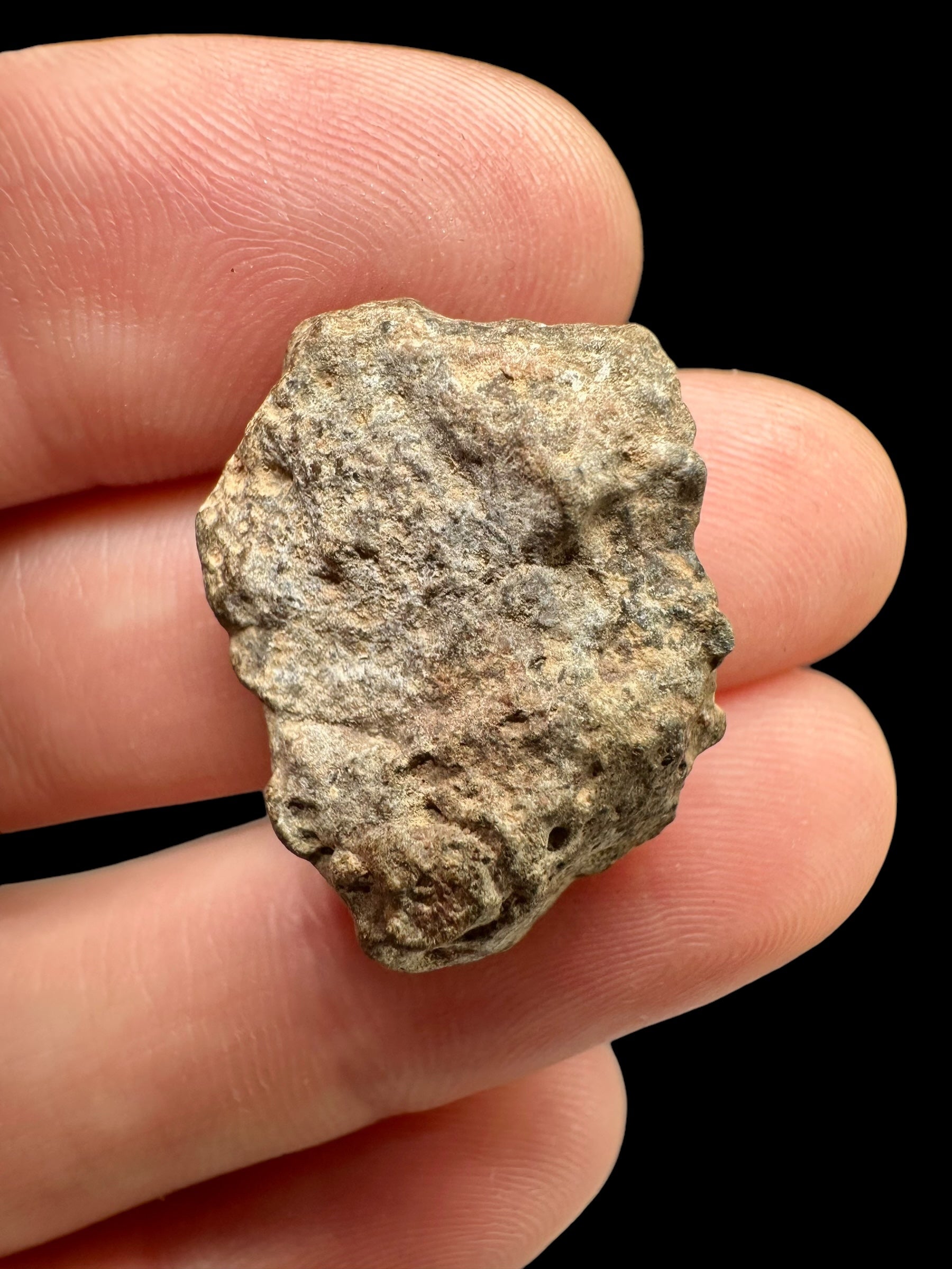 Meteorite Bechar 008, Howardite 4,43g – Algeria - MEBE12