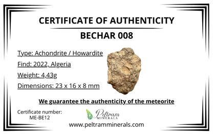 Meteorite Bechar 008, Howardite – Algeria – MEBE12