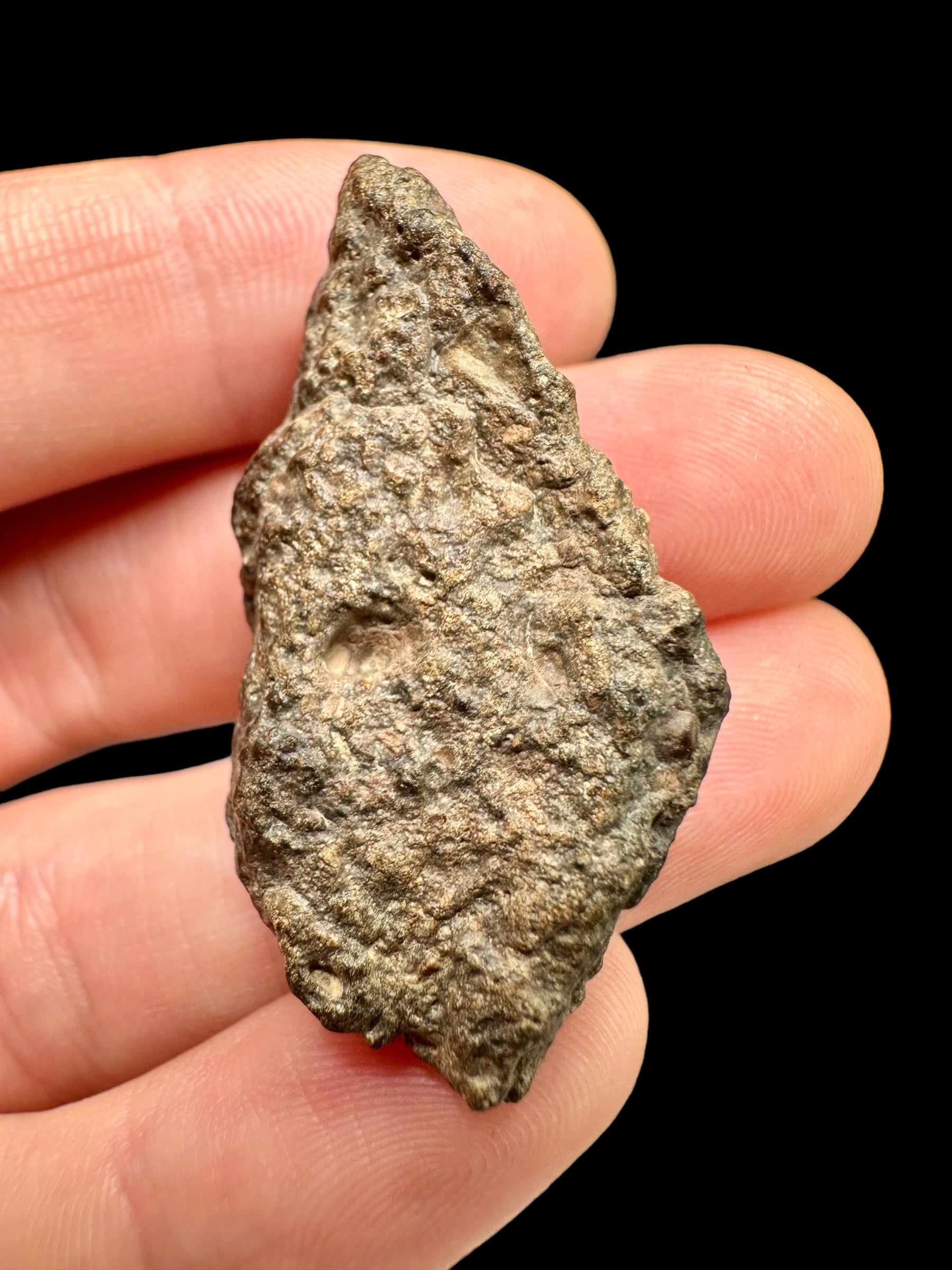 Meteorite Bechar 008, Howardite 13,2g – Algeria - MEBE15