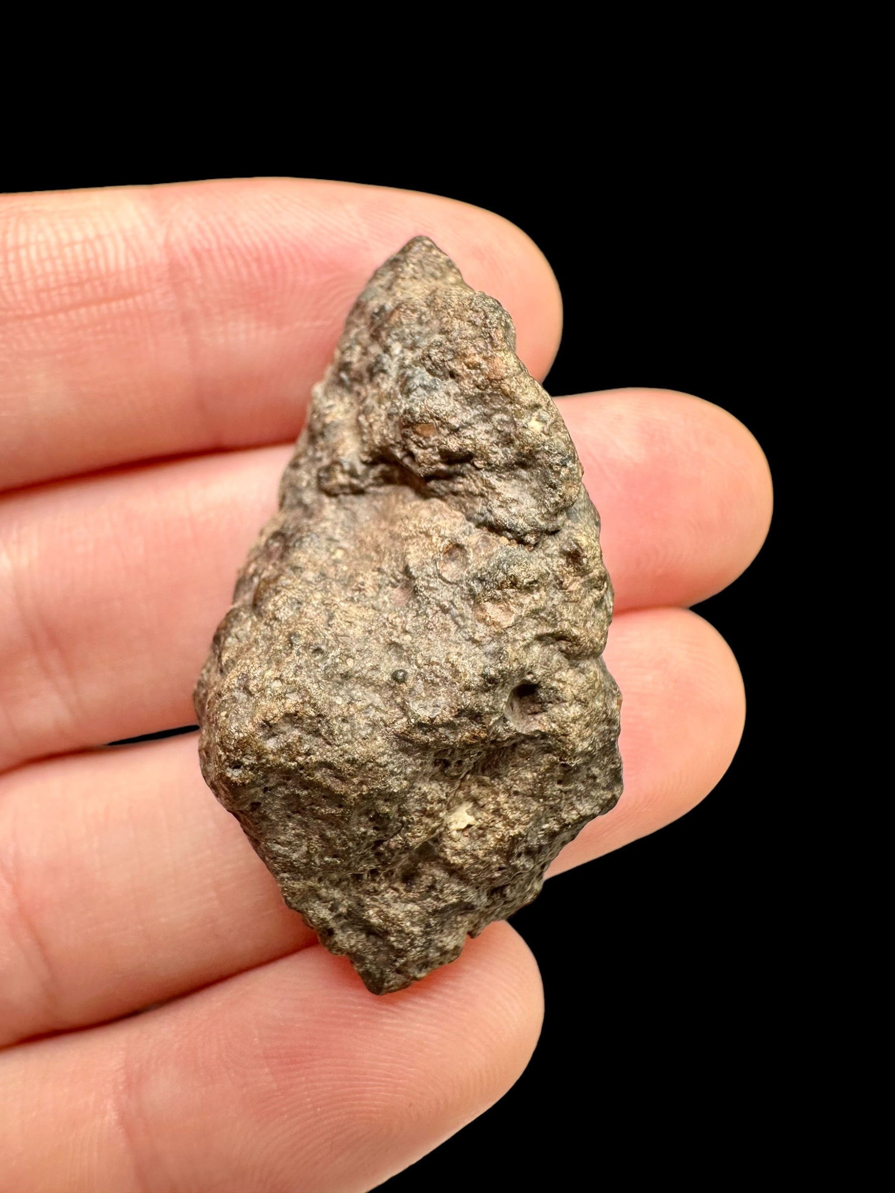 Meteorite Bechar 008, Howardite 13,2g – Algeria