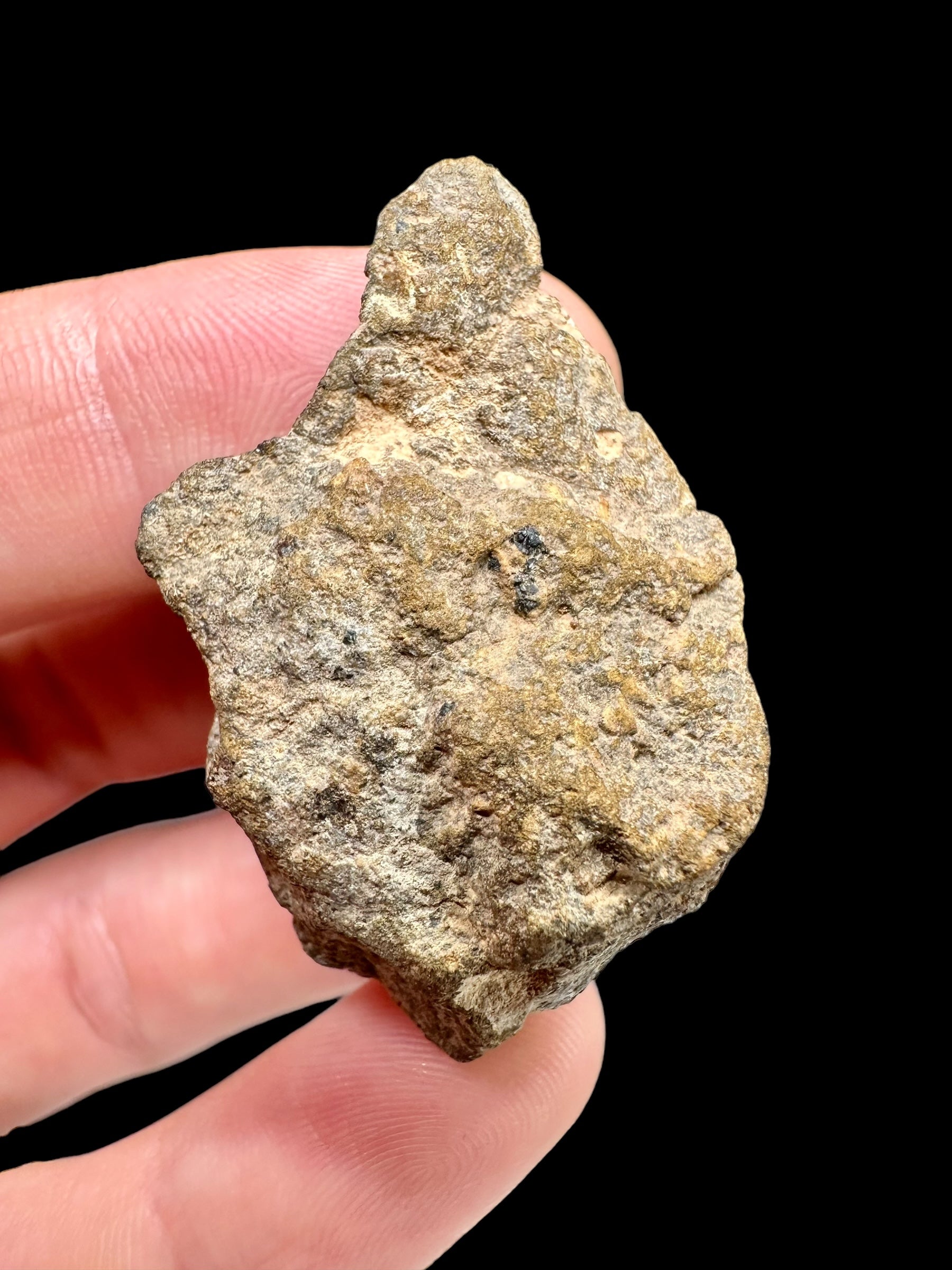 Meteorite Bechar 008, Howardite 15,5g – Algeria - MEBE17