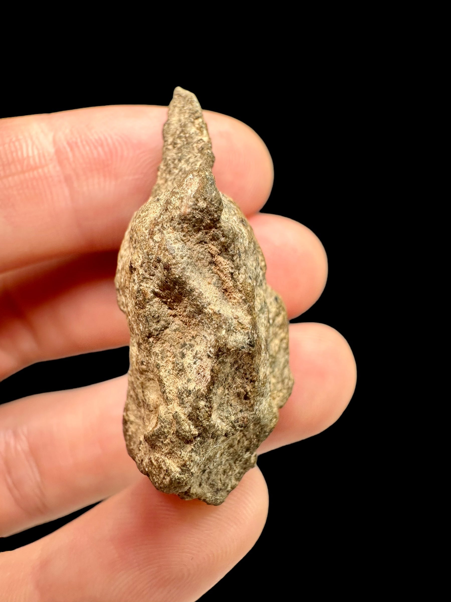 Meteorite Bechar 008, Howardite 15,5g – Algeria - MEBE17