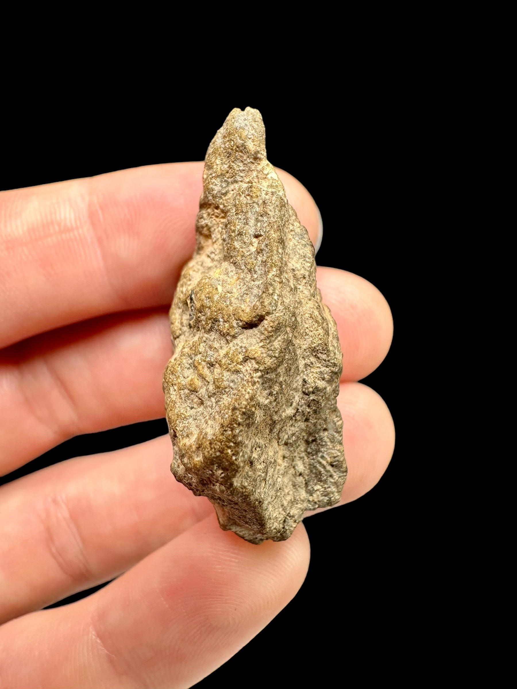 Meteorite Bechar 008, Howardite 15,5g – Algeria - MEBE17