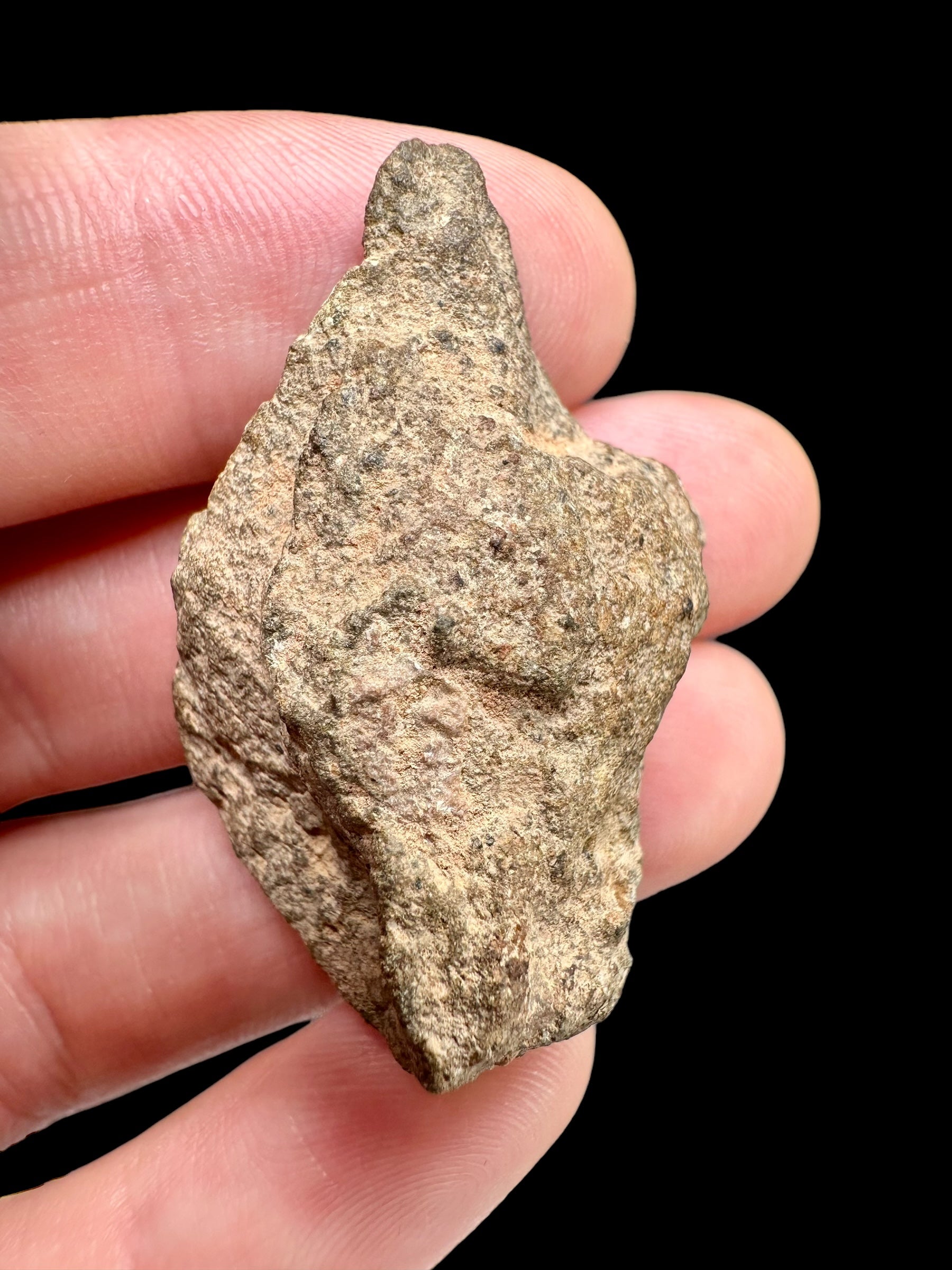 Meteorite Bechar 008, Howardite 15,5g – Algeria
