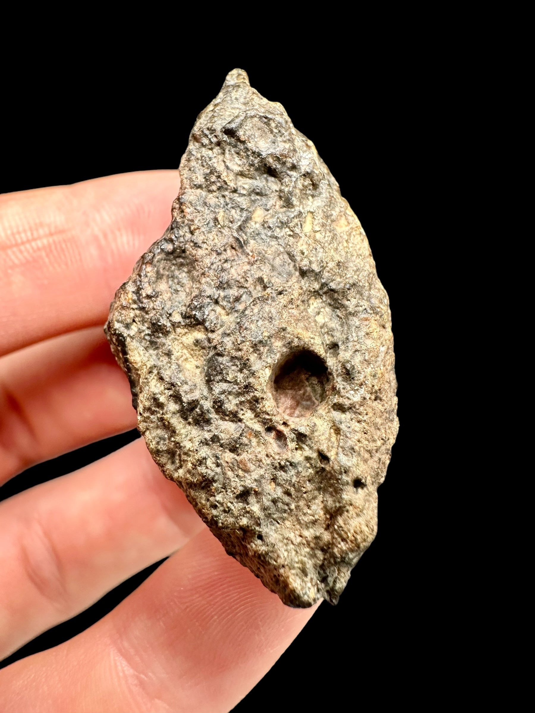 Meteorite Bechar 008, Howardite 27,8g – Algeria - MEBE18