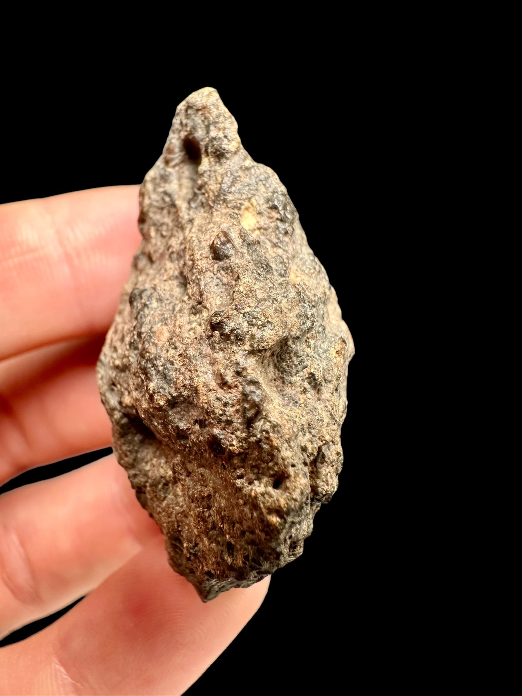 Meteorite Bechar 008, Howardite 27,8g – Algeria - MEBE18