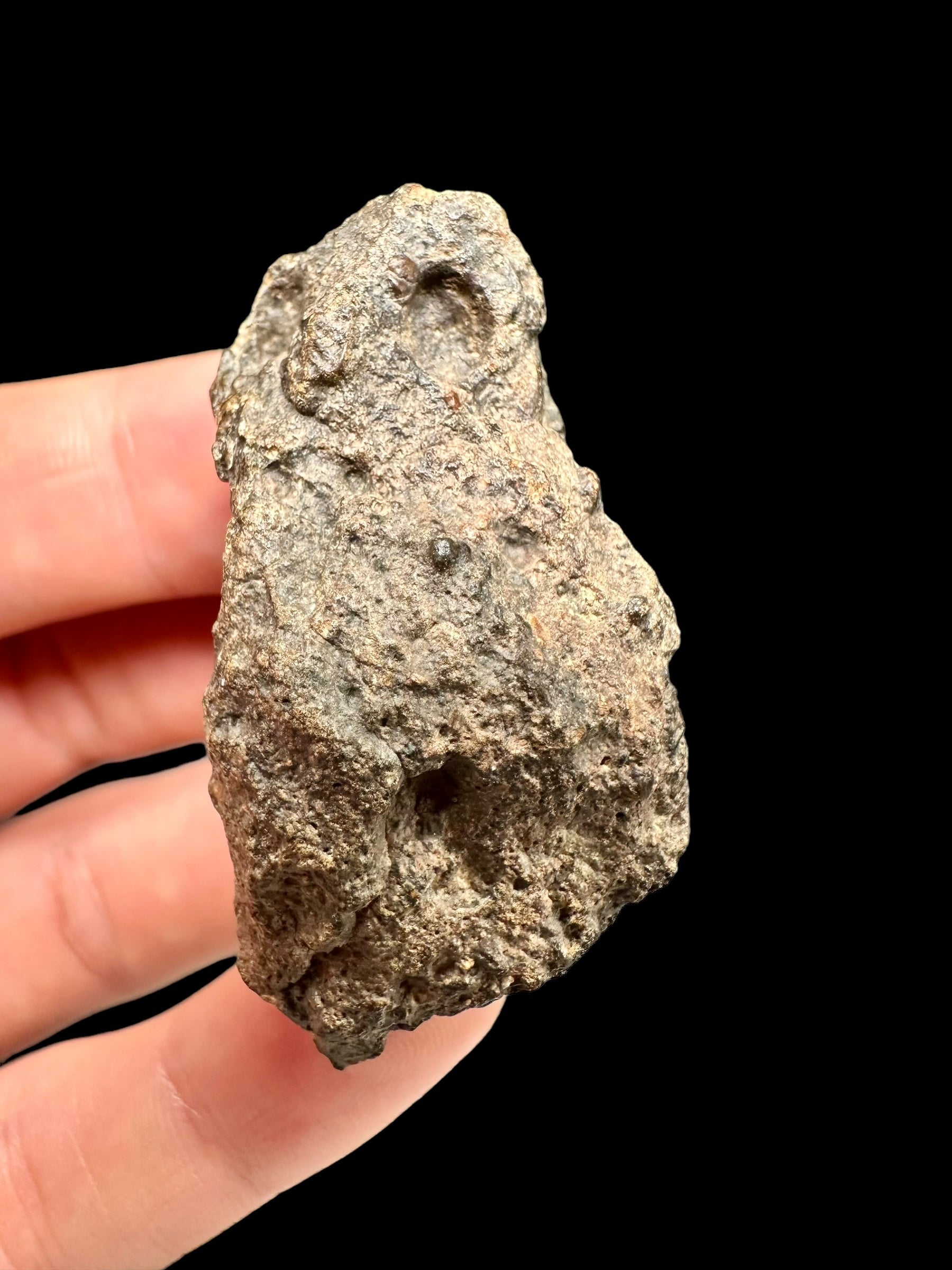 Meteorite Bechar 008, Howardite 27,8g – Algeria