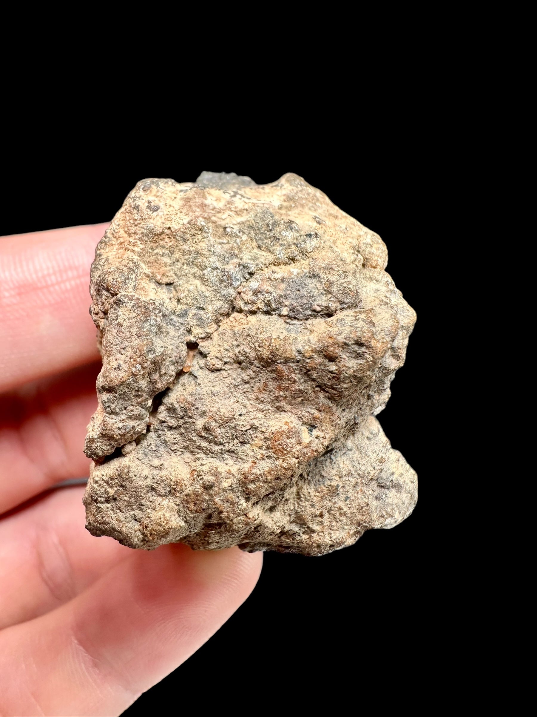 Meteorite Bechar 008, Howardite 38,7g – Algeria - MEBE19