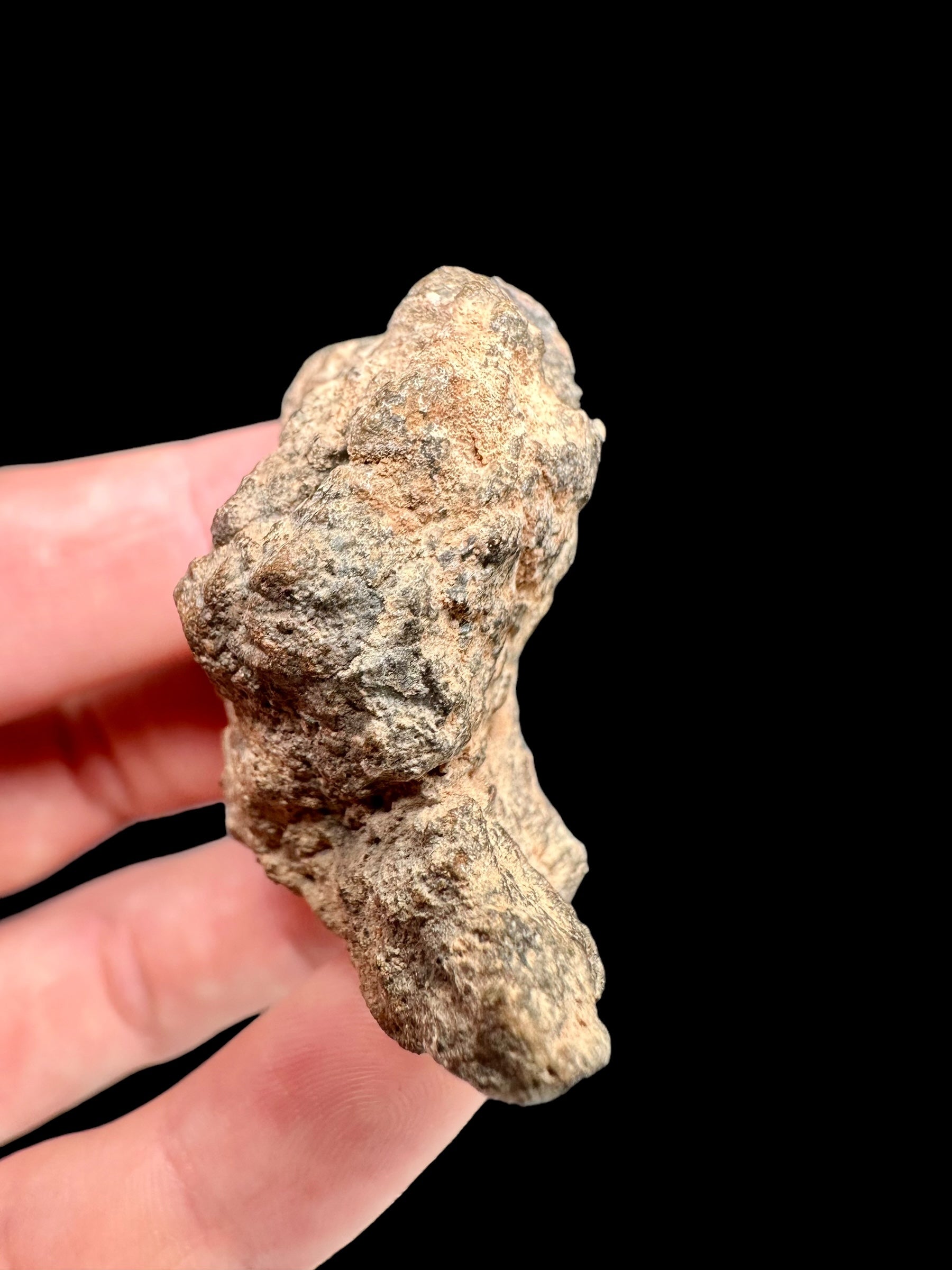 Meteorite Bechar 008, Howardite 38,7g – Algeria - MEBE19