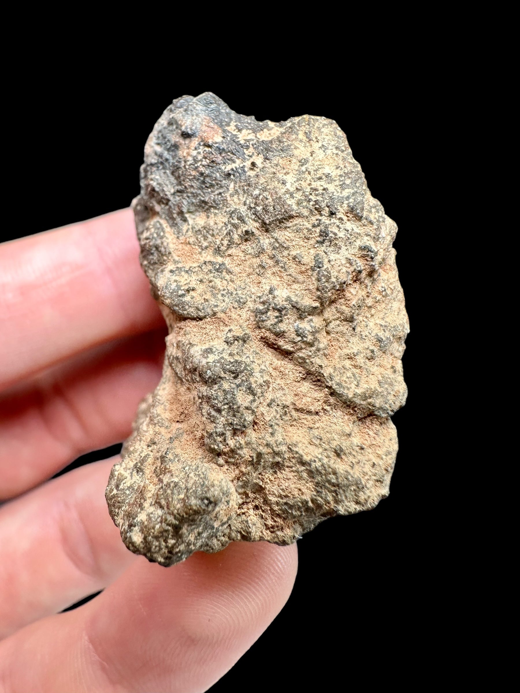 Meteorite Bechar 008, Howardite 38,7g – Algeria - MEBE19