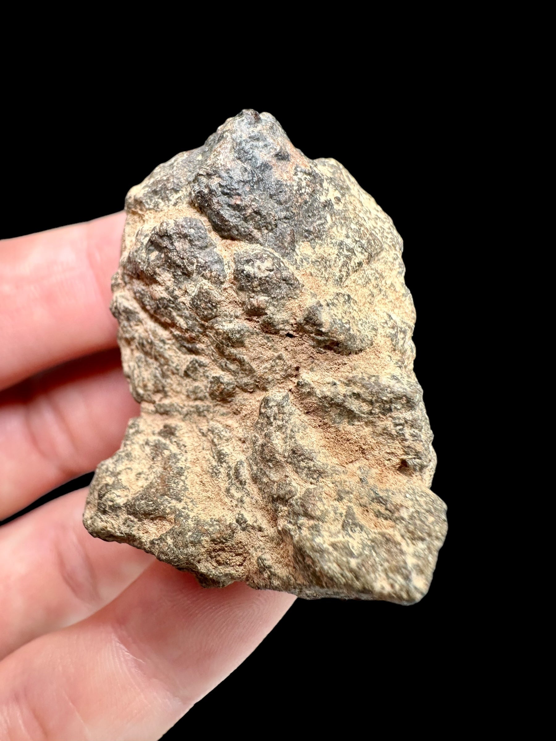 Meteorite Bechar 008, Howardite 38,7g – Algeria