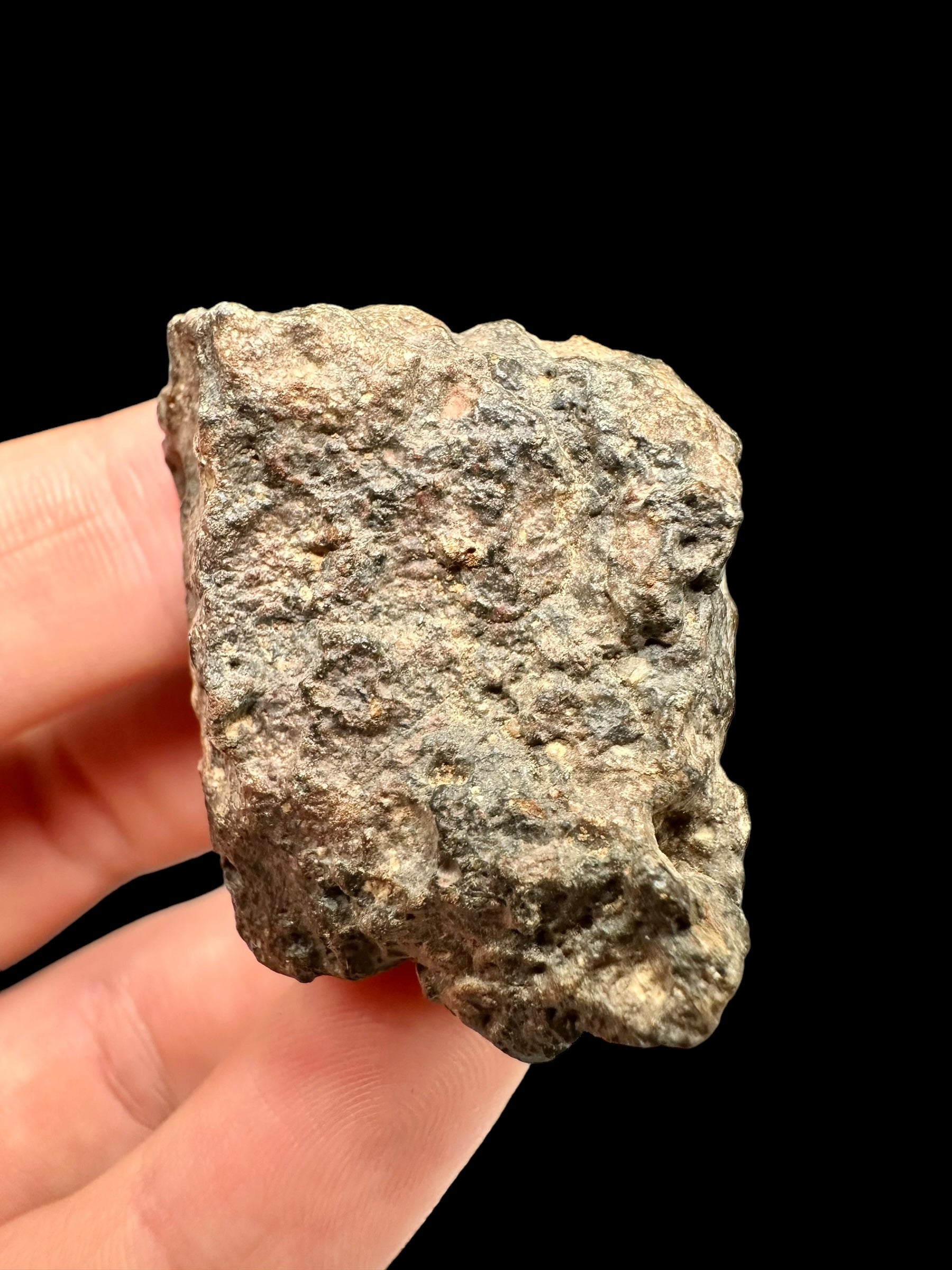 Meteorite Bechar 008, Howardite 32,9g – Algeria - MEBE20
