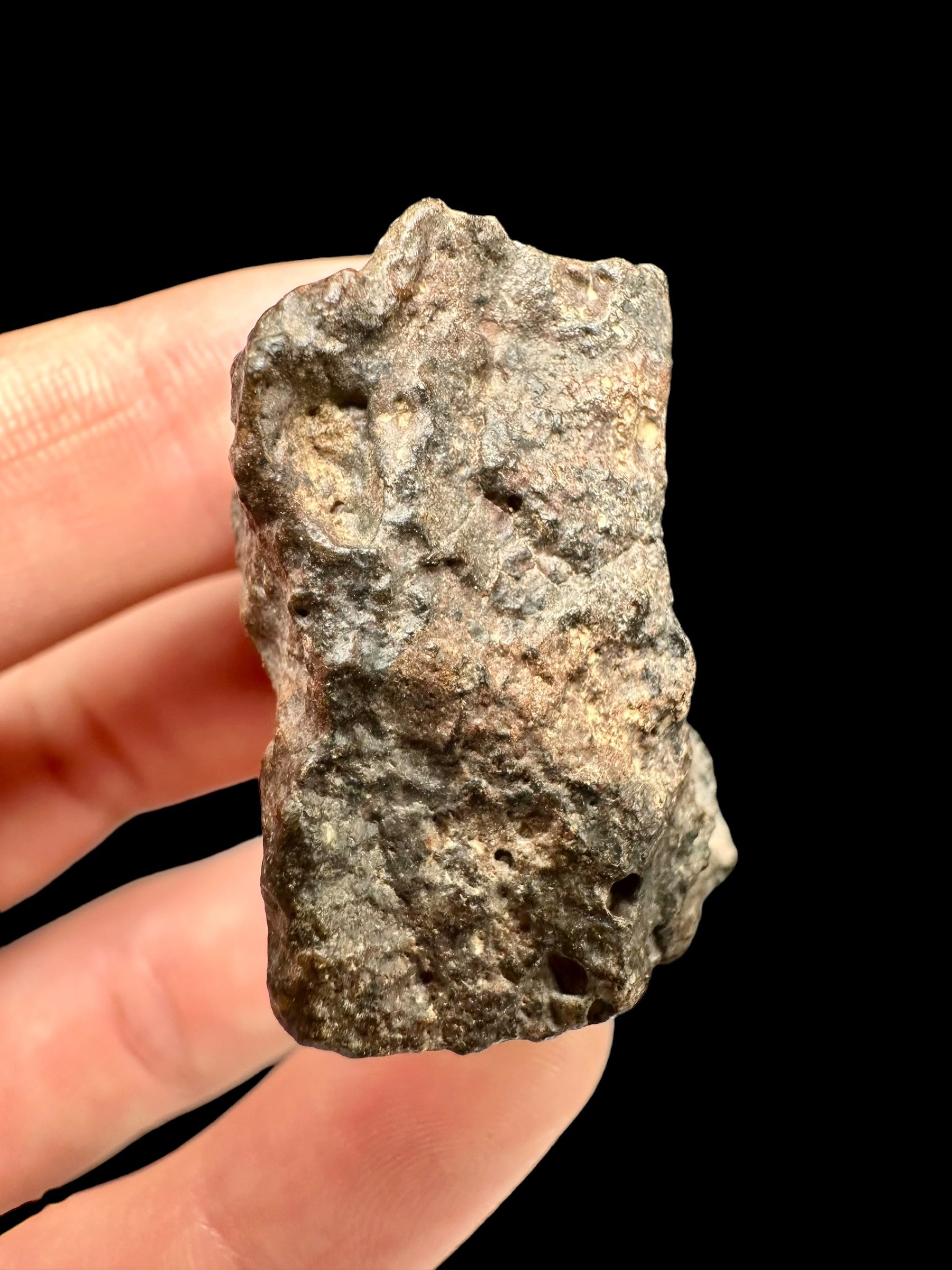 Meteorite Bechar 008, Howardite 32,9g – Algeria - MEBE20