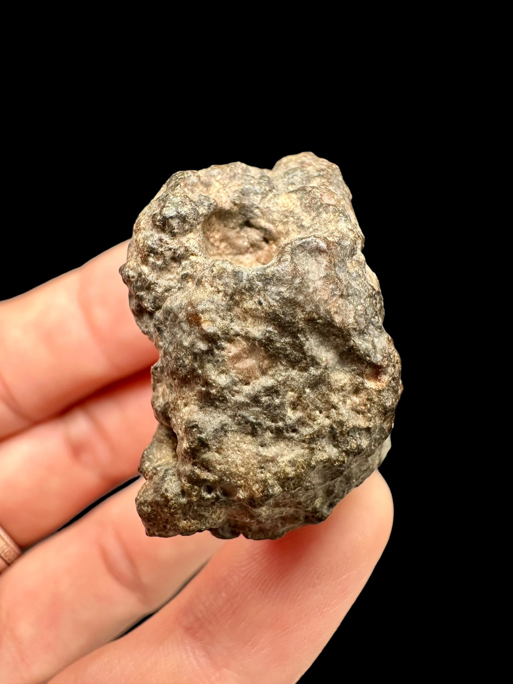 Meteorite Bechar 008, Howardite 32,9g – Algeria - MEBE20