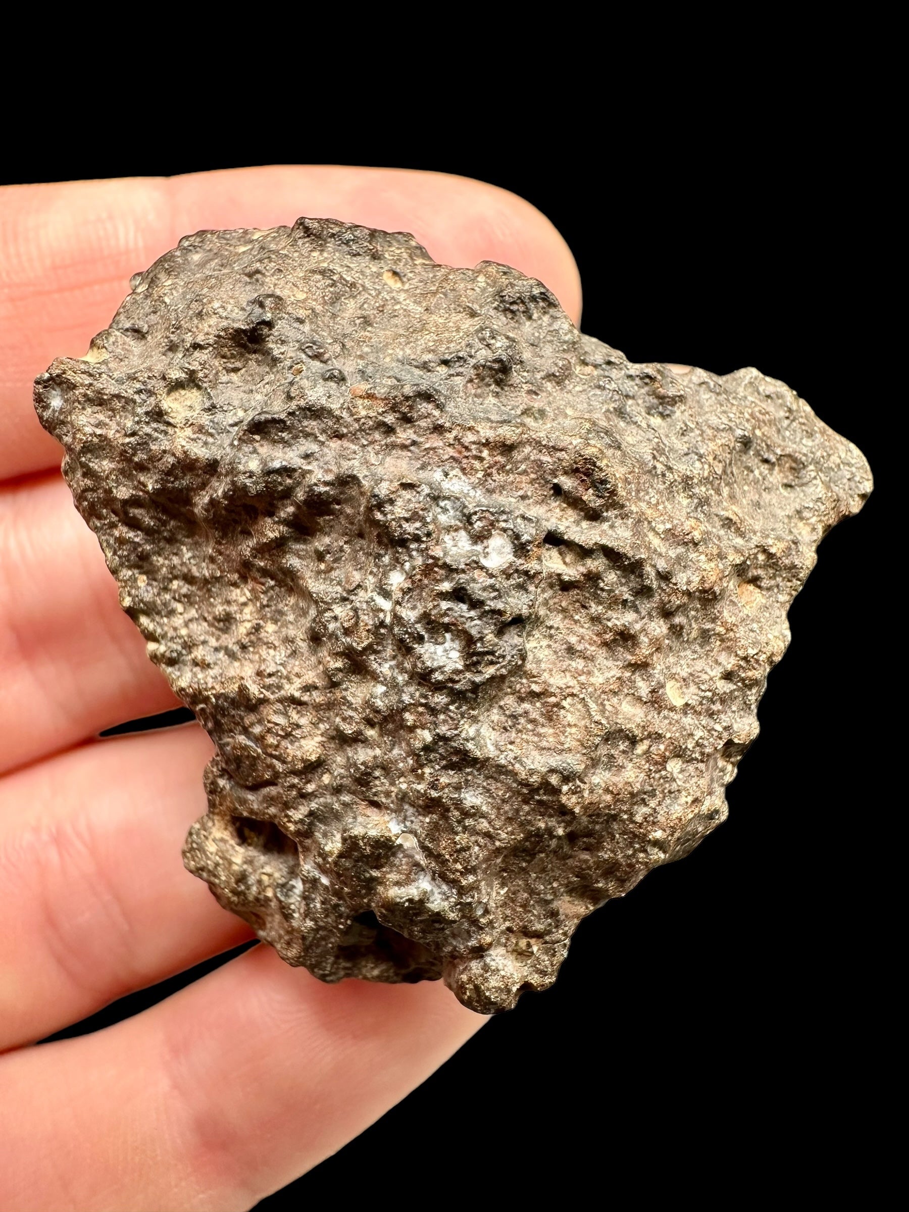 Meteorite Bechar 008, Howardite 40,2g – Algeria - MEBE21