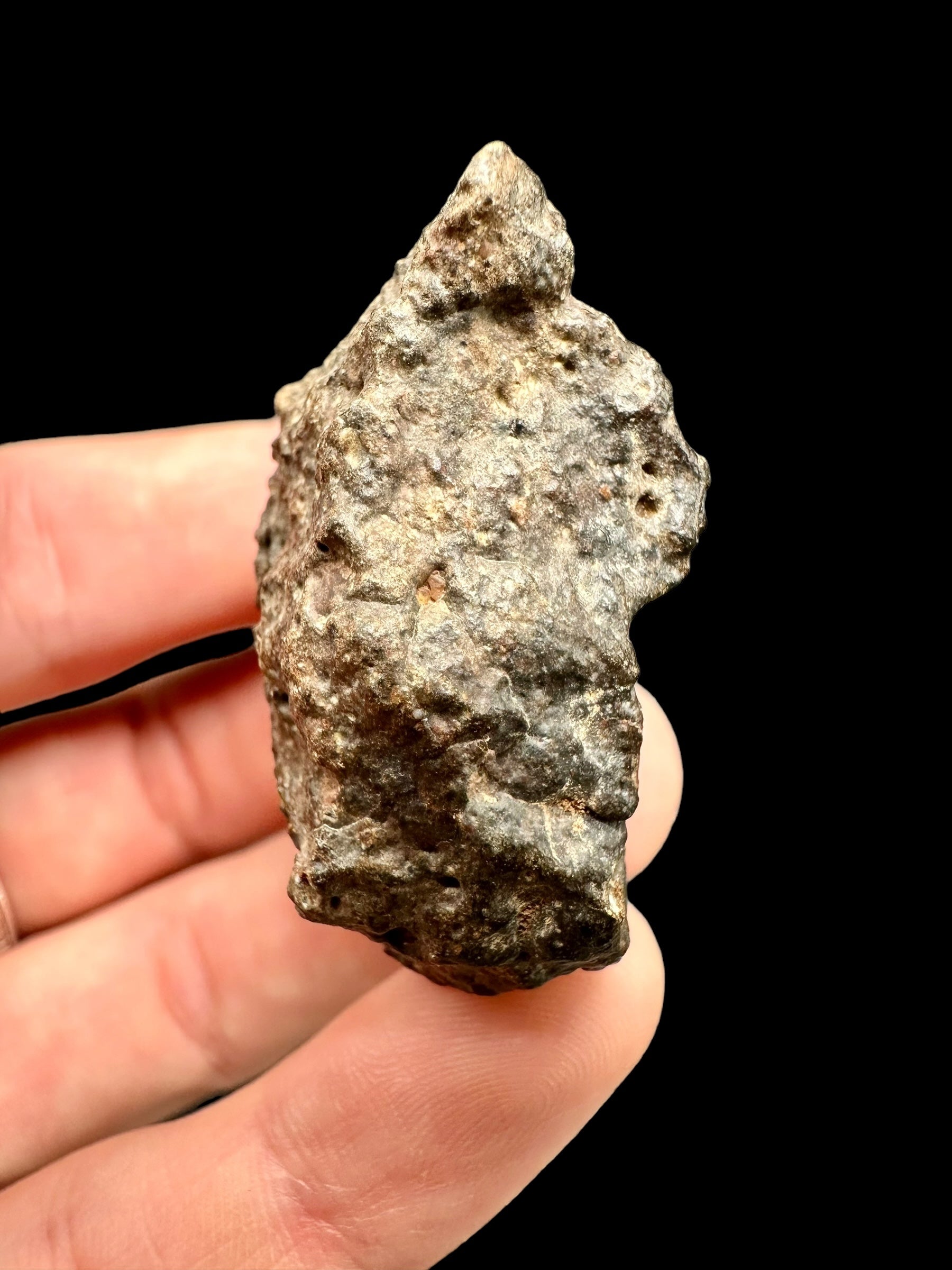 Meteorite Bechar 008, Howardite 40,2g – Algeria - MEBE21