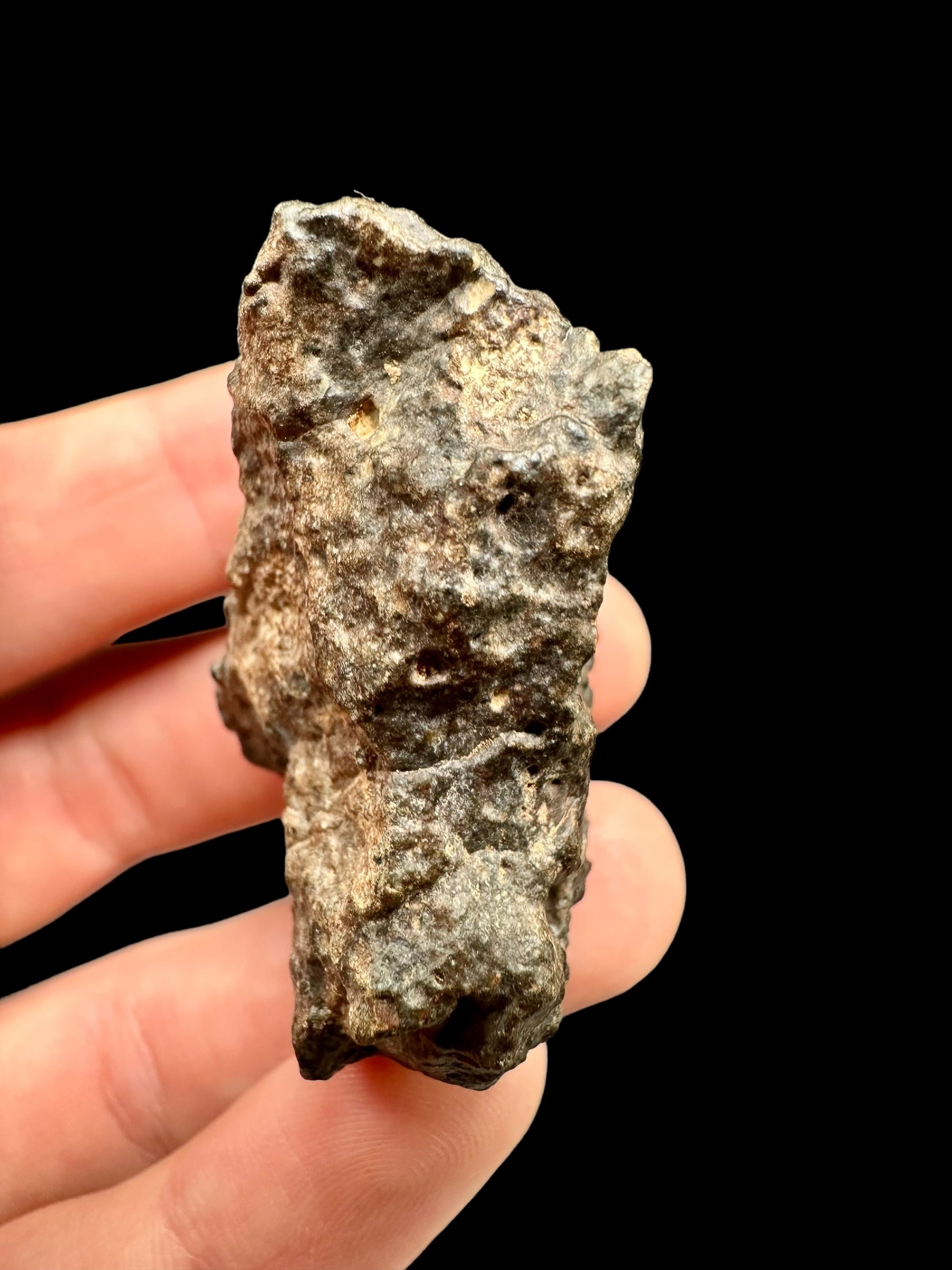 Meteorite Bechar 008, Howardite 40,2g – Algeria - MEBE21