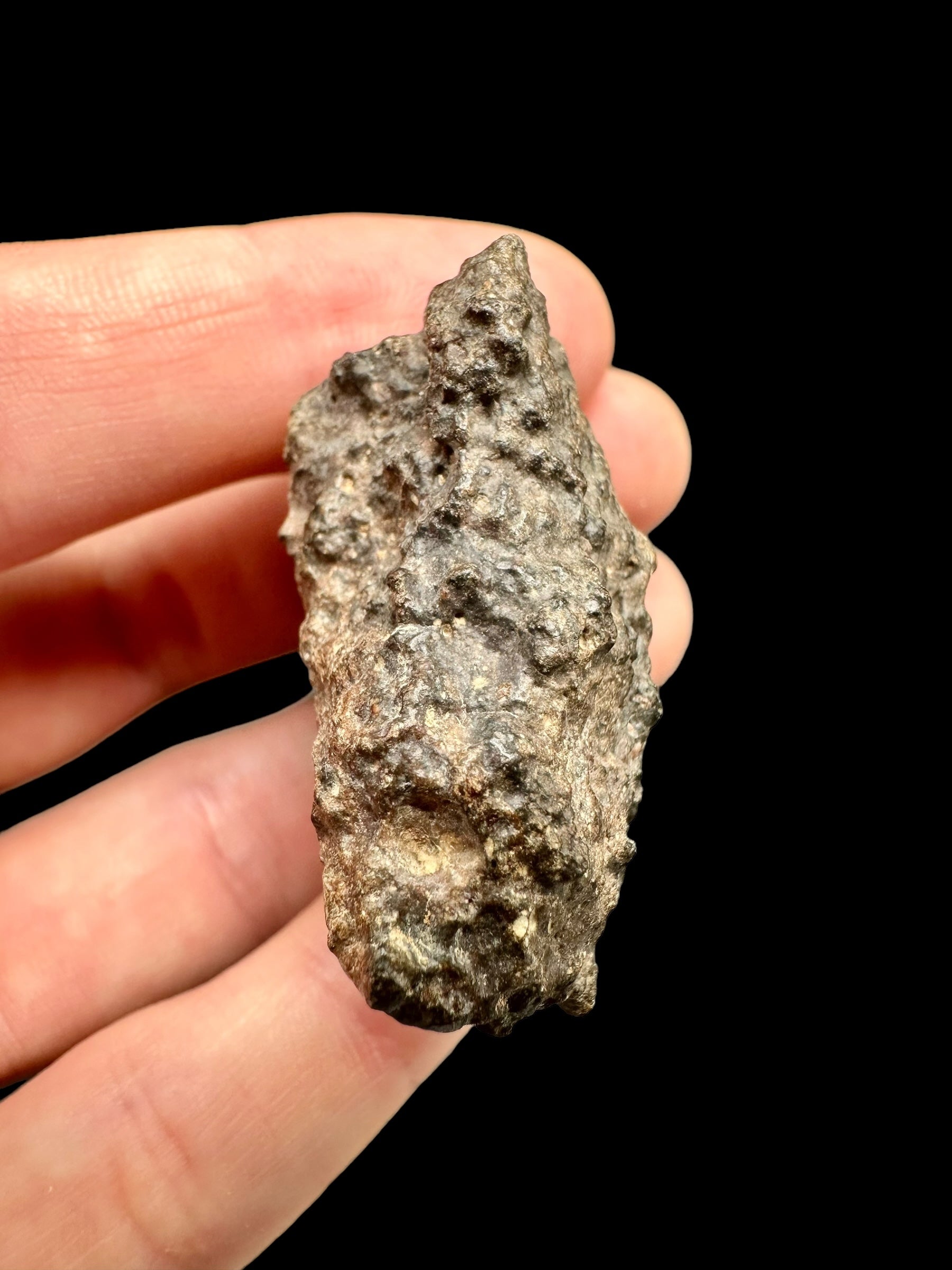 Meteorite Bechar 008, Howardite 40,2g – Algeria - MEBE21