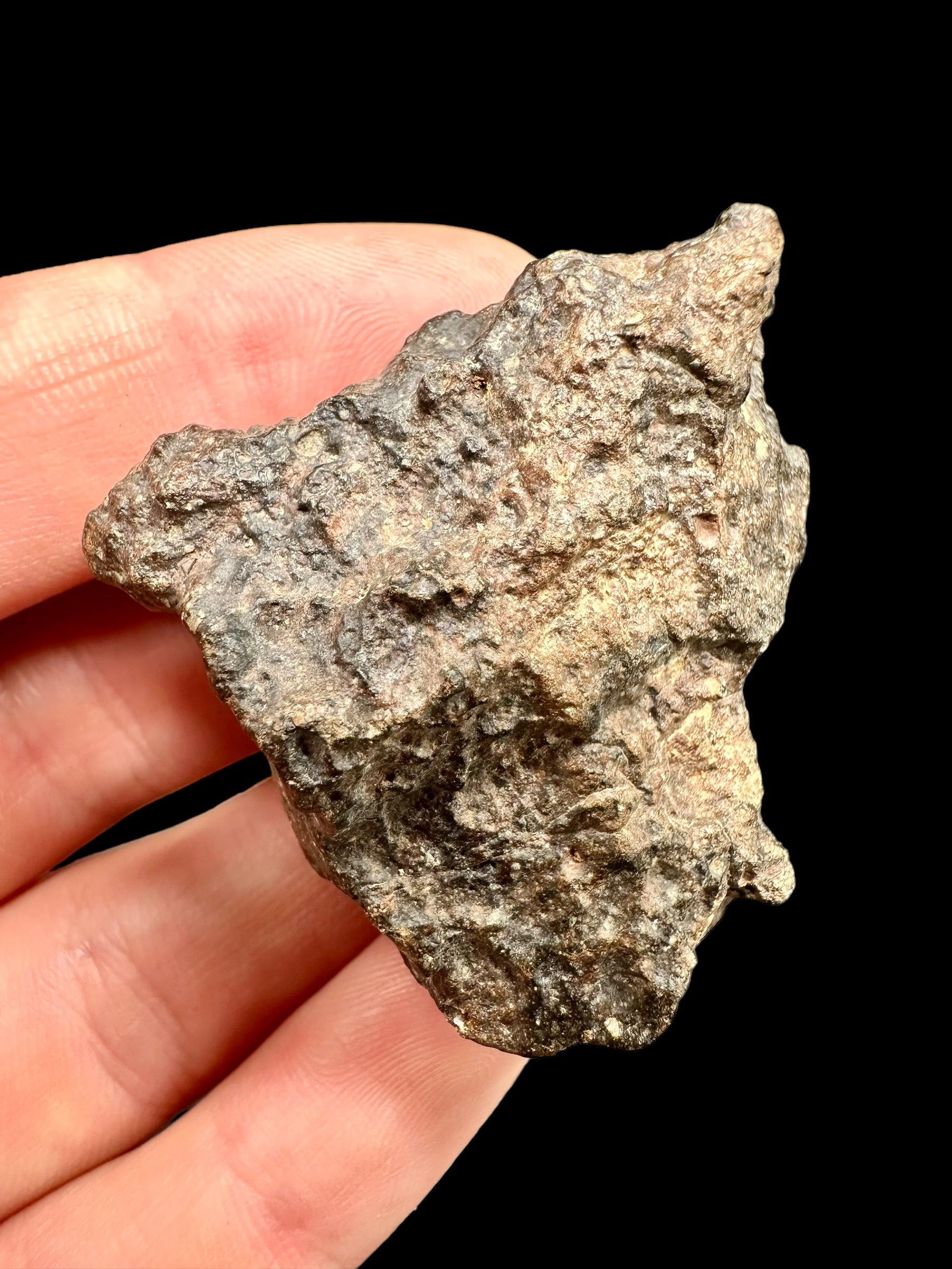 Meteorite Bechar 008, Howardite 40,2g – Algeria