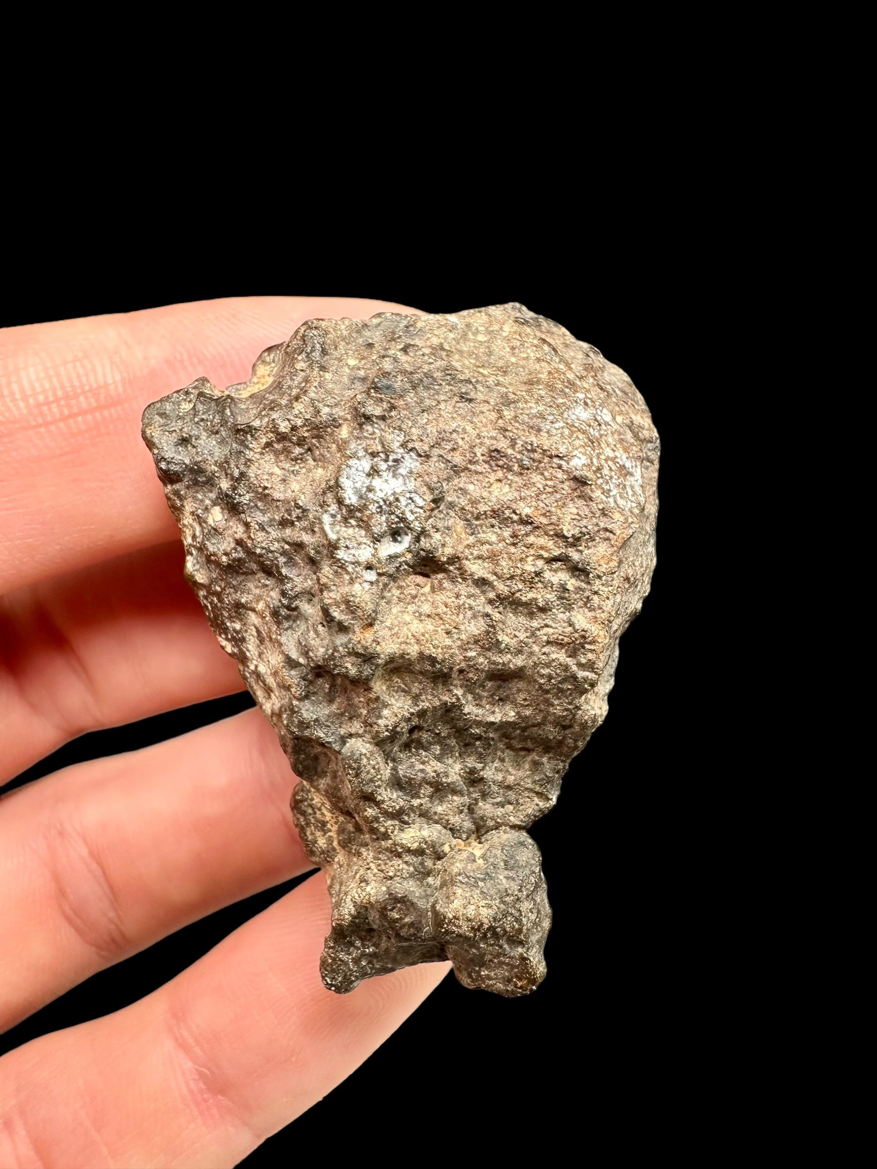 Meteorite Bechar 008, Howardite 28,8g – Algeria - MEBE22