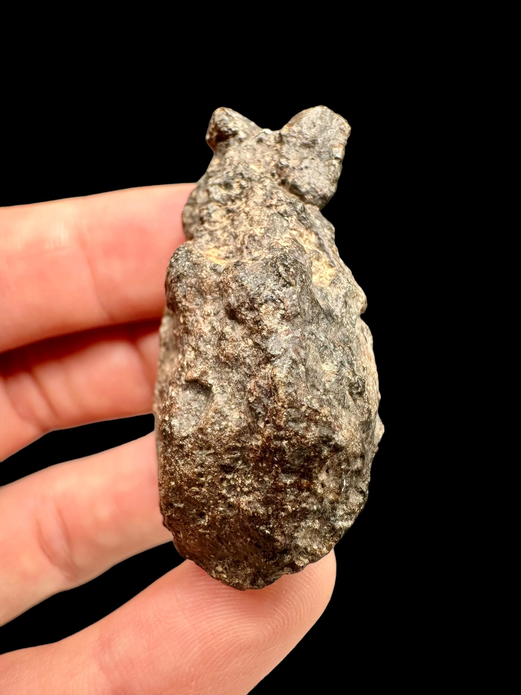 Meteorite Bechar 008, Howardite 28,8g – Algeria - MEBE22