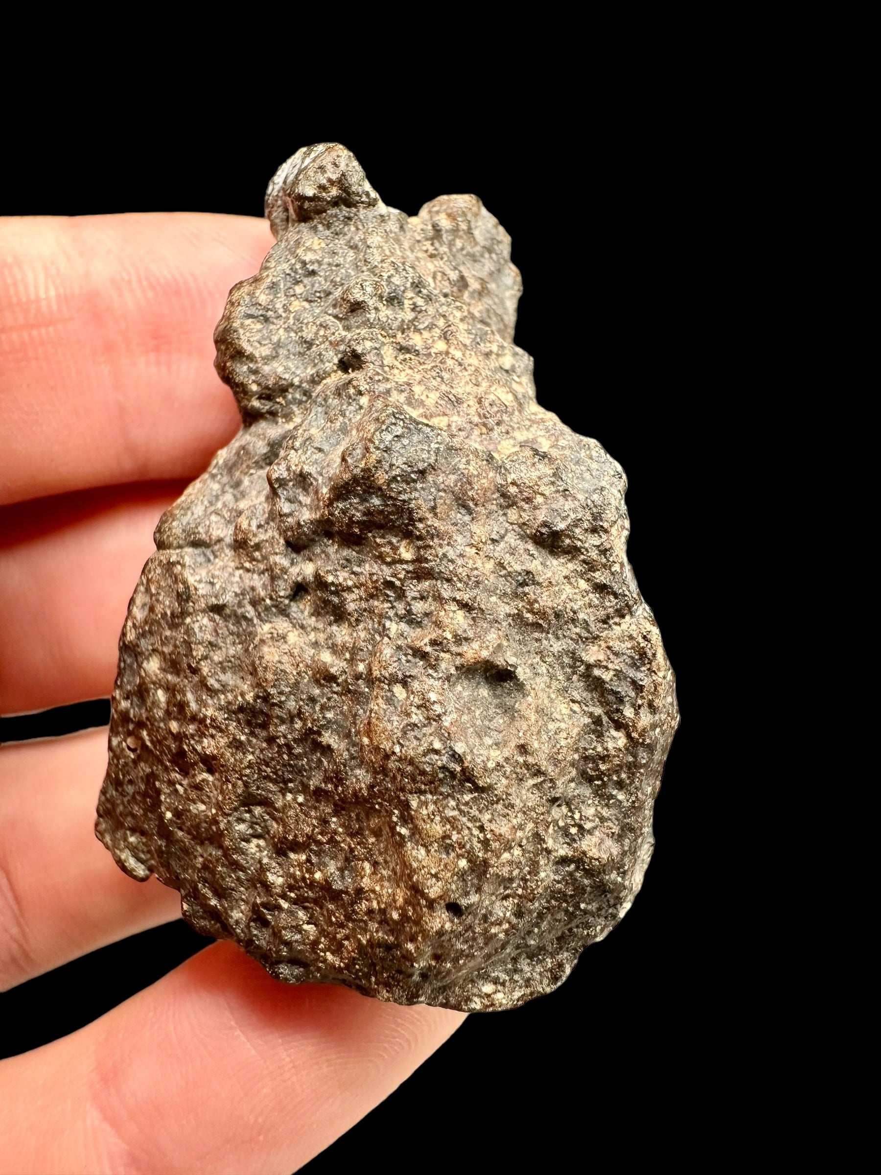 Meteorite Bechar 008, Howardite – Algeria – MEBE22
