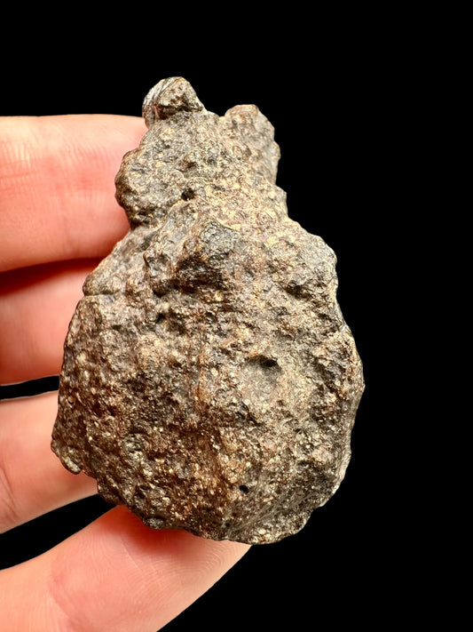 Meteorite Bechar 008, Howardite – Algeria – MEBE22